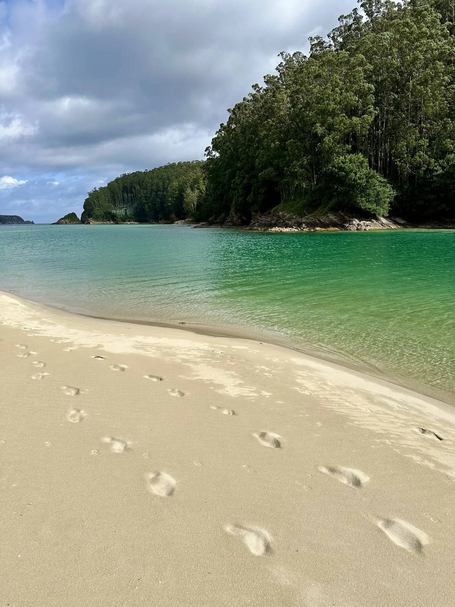 Footprints in golden sand leading toward clear emerald-green sea waters framed by dense eucalyptus forest hills in Northern Galicia, photographed by Seña Studio.