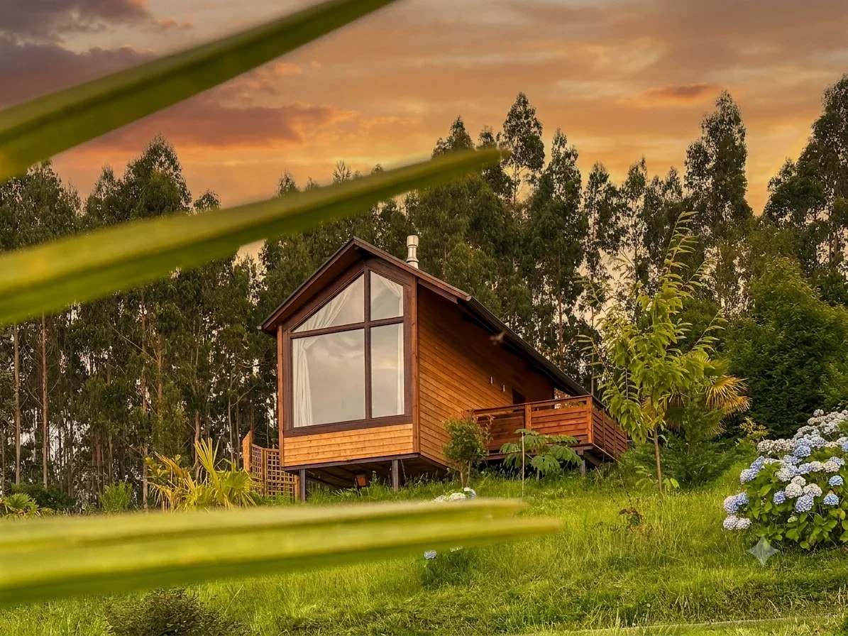 Modern wooden cabin with large floor-to-ceiling A-frame windows nestled on a grassy hillside surrounded by eucalyptus trees and blooming hydrangeas at Haras de Bordo, framed by green leaves in the foreground, photographed by Seña Studio.