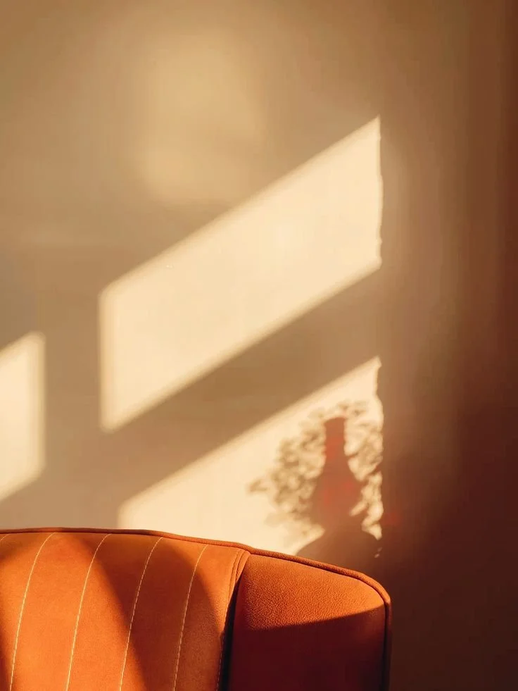 Une chaise orange en cuir avec coutures blanches, posée devant un mur blanc. La lumière naturelle projette l'ombre d'une fenêtre et d'une plante sur le mur.
