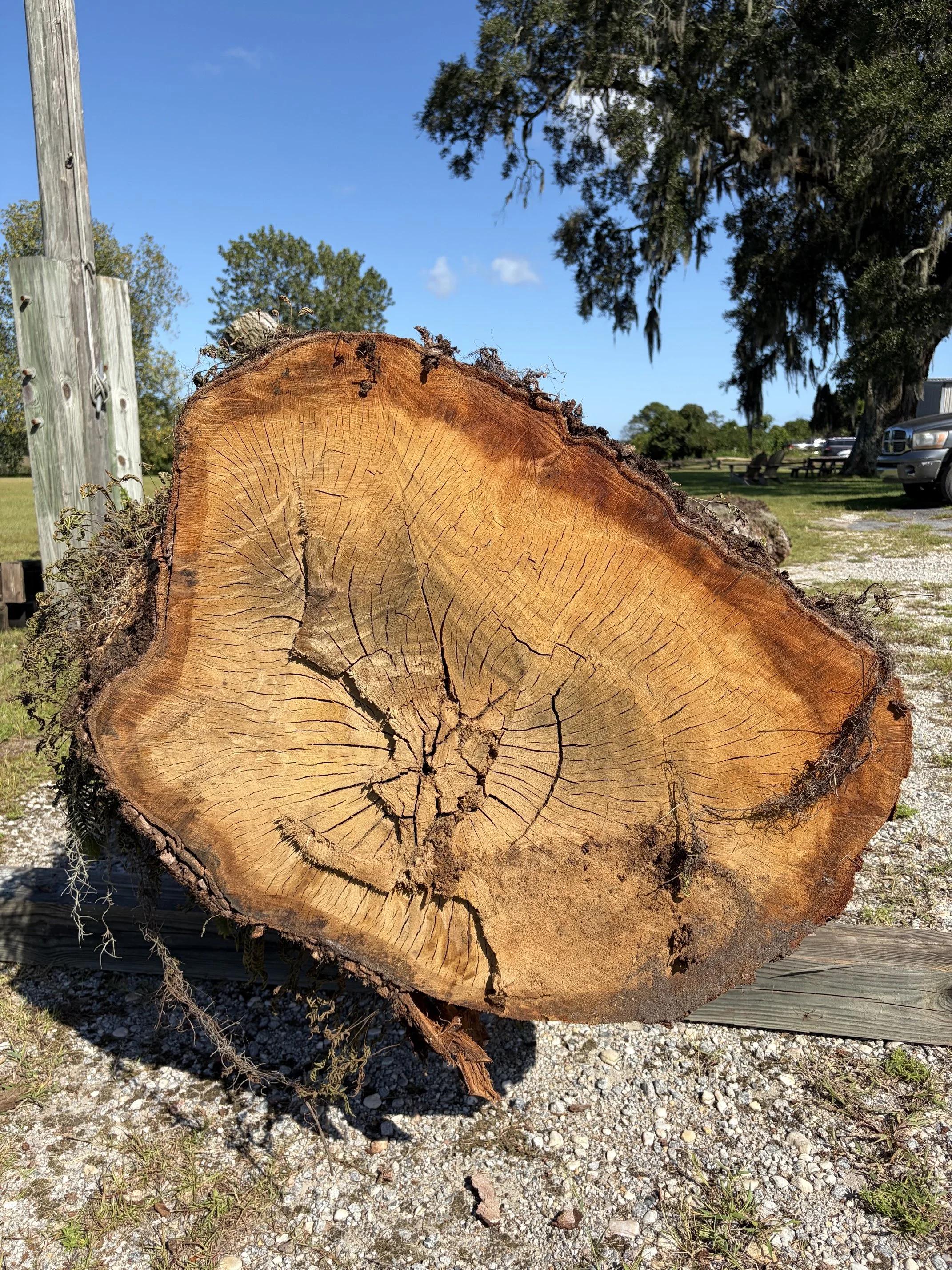 Oak Branch Porch Part I (Spring 2027)