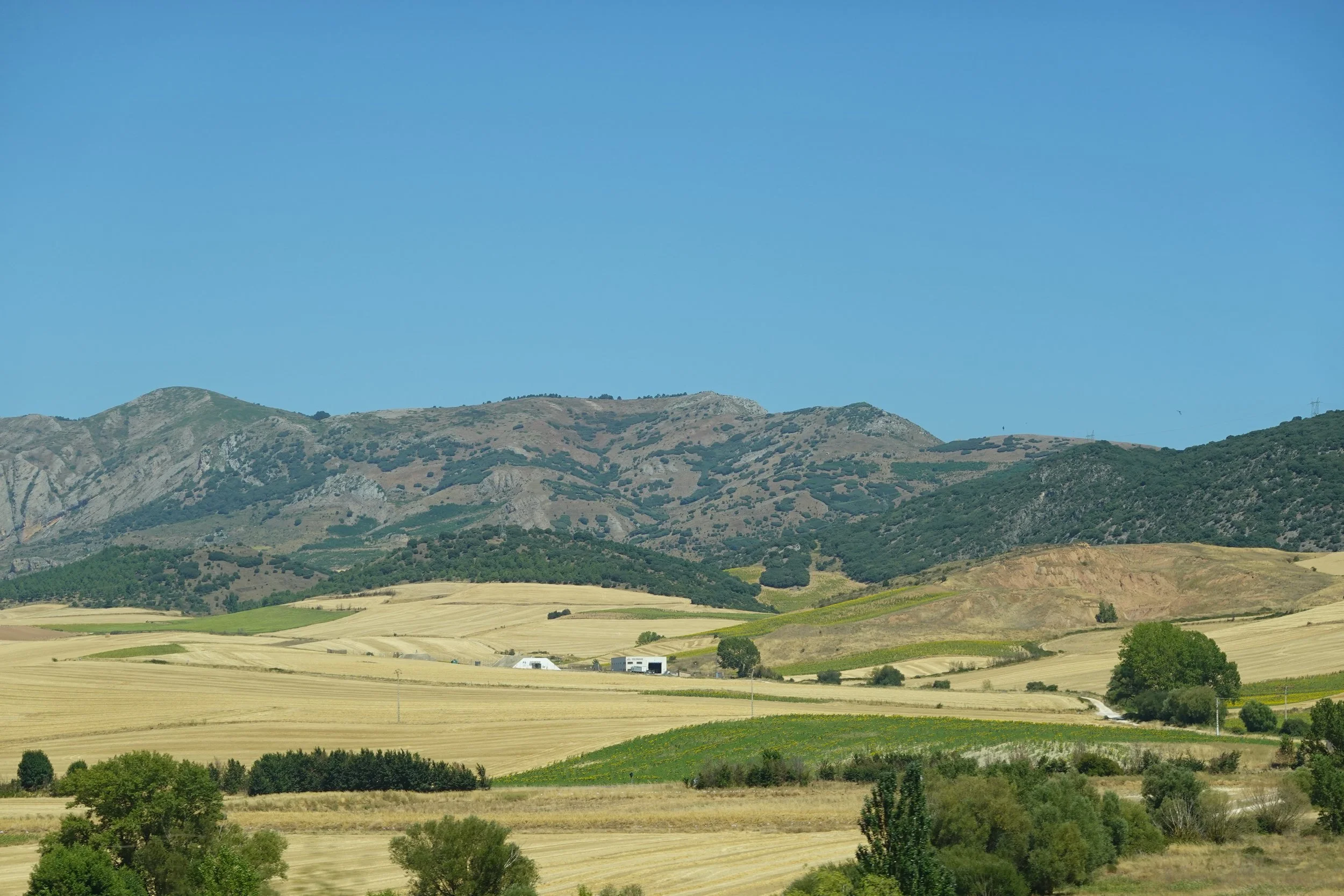 Scenic view of rolling hills and mountains under a clear blue sky, with patches of green and yellow fields and scattered trees in the foreground.