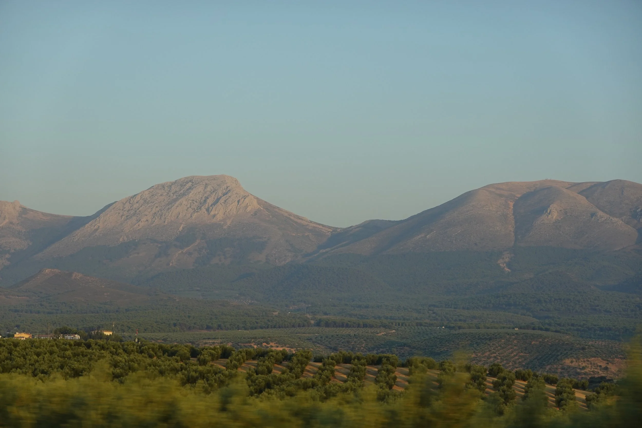 Scenic view of a mountain range with a flat green plain in the foreground and a clear blue sky.