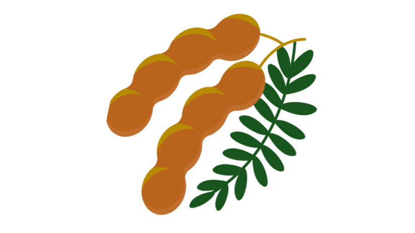 Curry+Fish+Logo+-+source.png