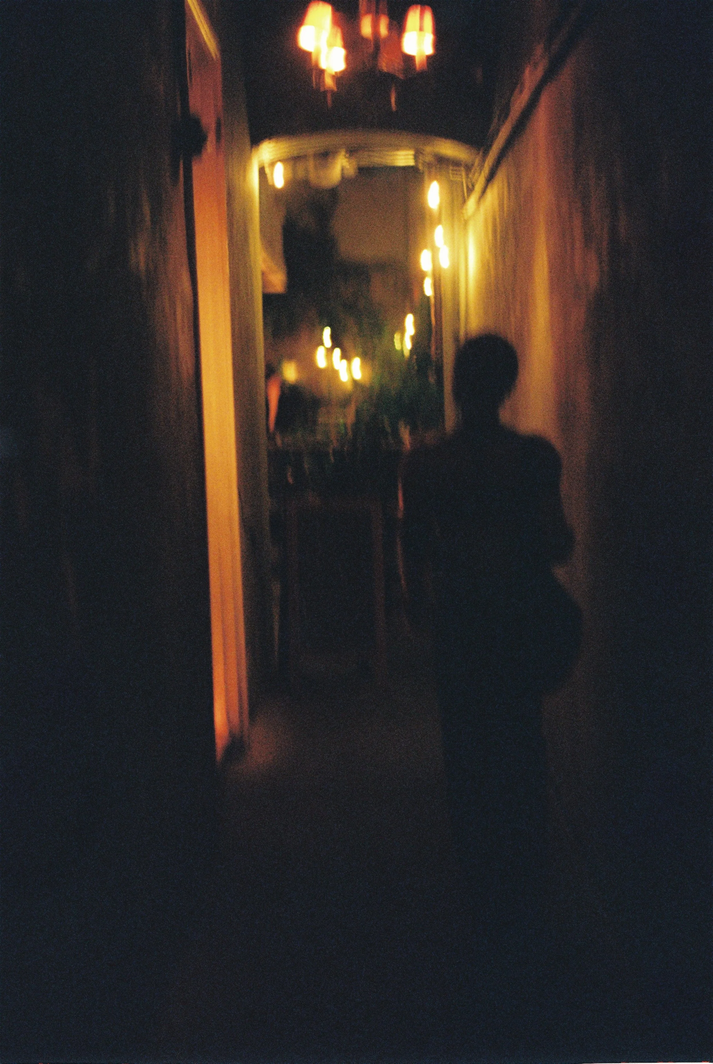 Back Alley's