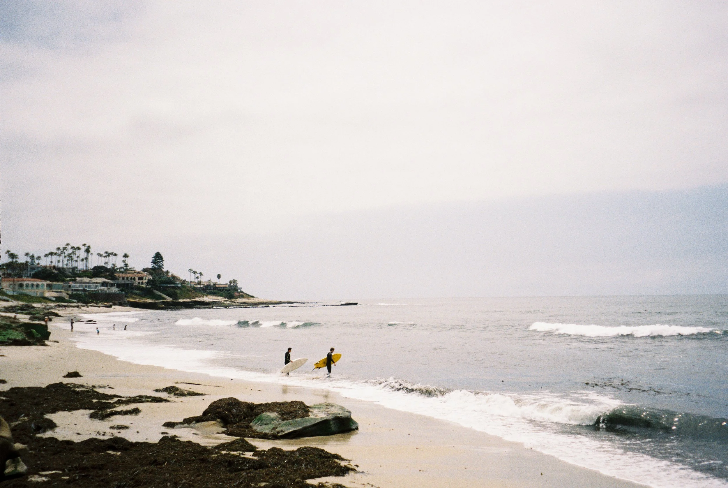 Surf's Up, 2026