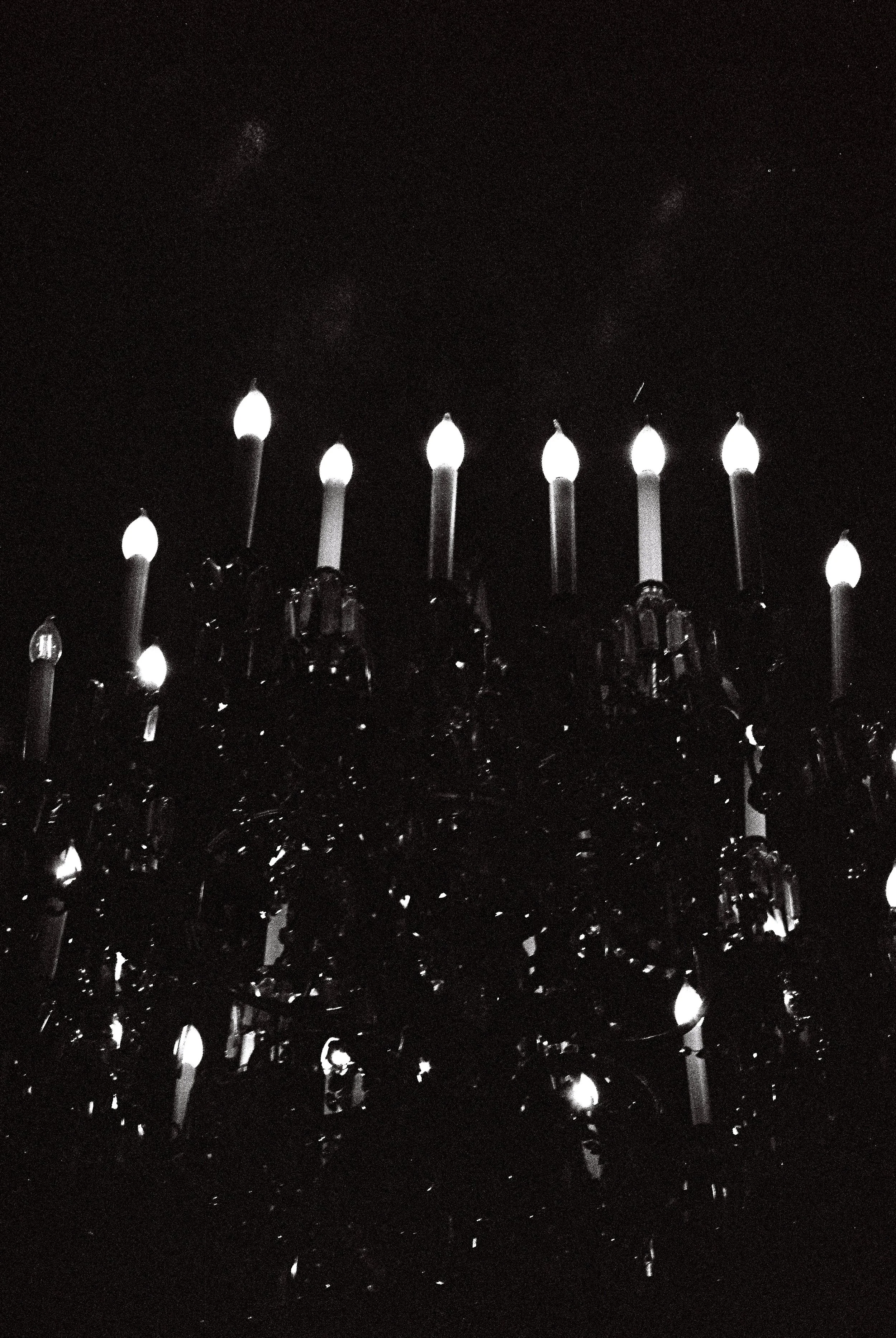 B&W Lights