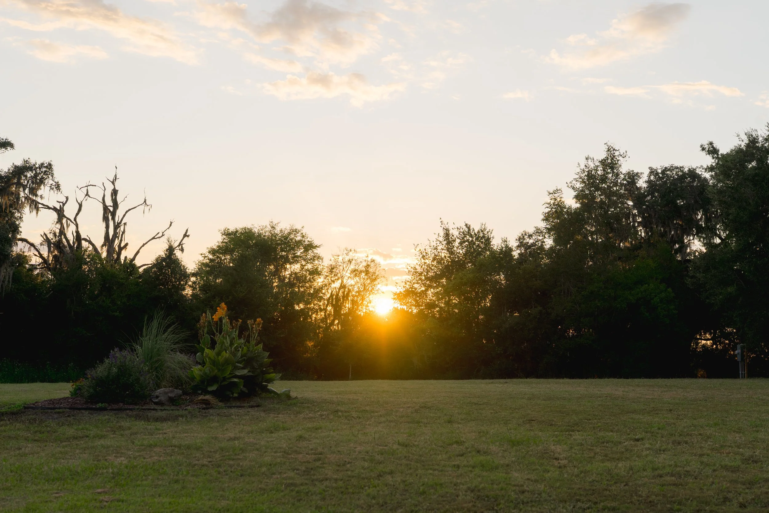 Outdoor Wedding at Stonewood Events in Alachua, Florida captured by Florida Documentary Wedding Photographer Catherine Skelly