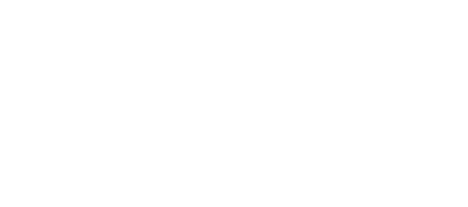 Studio Skelly