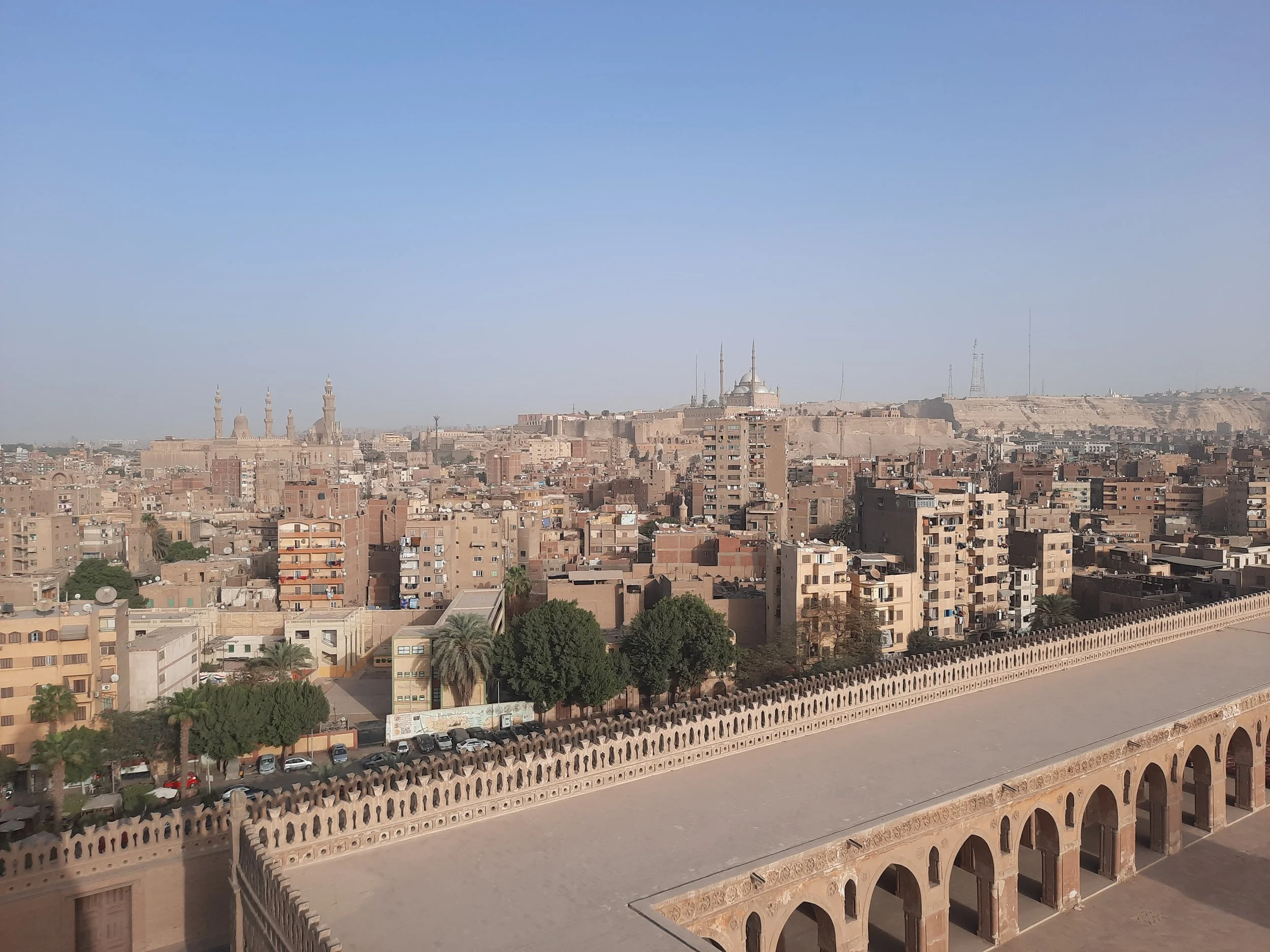 How 35 Egyptian green providers shifted strategy (88%) and expanded services (73%)