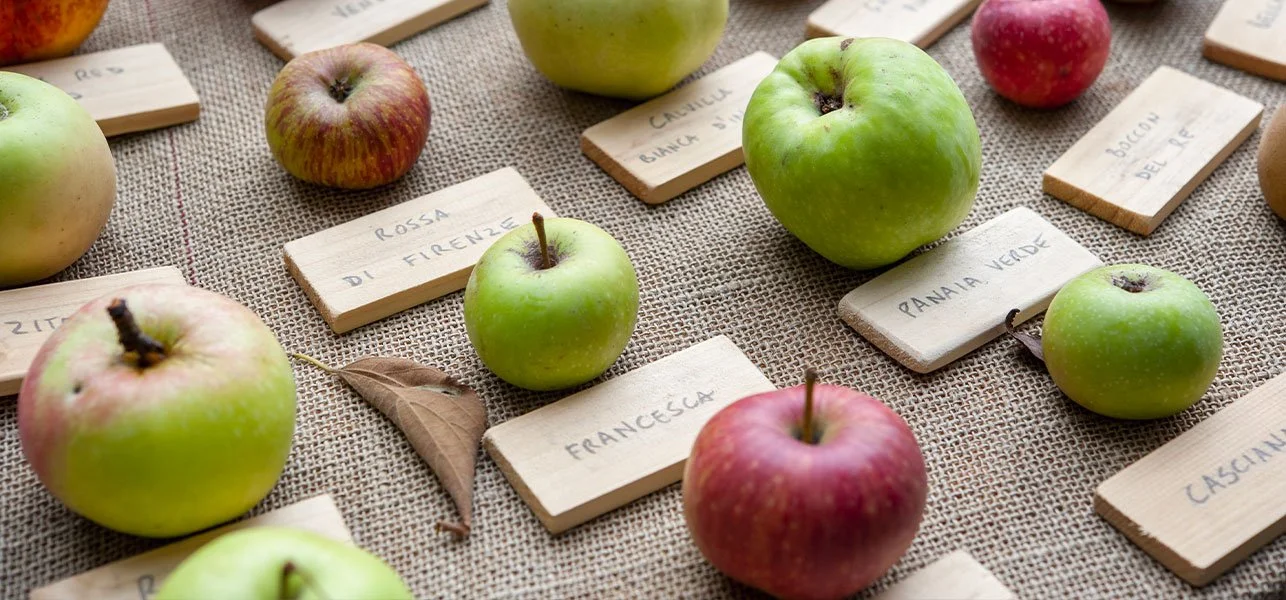 Pomme promis