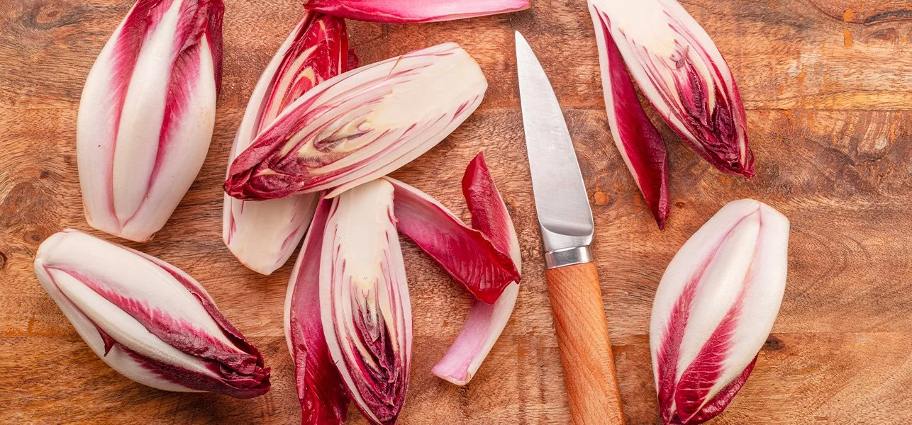 On vous endive (en dit) plus sur l’endive !