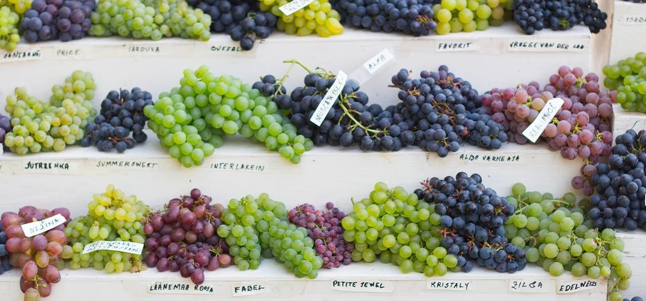 Raisin de plus pour se préparer !
