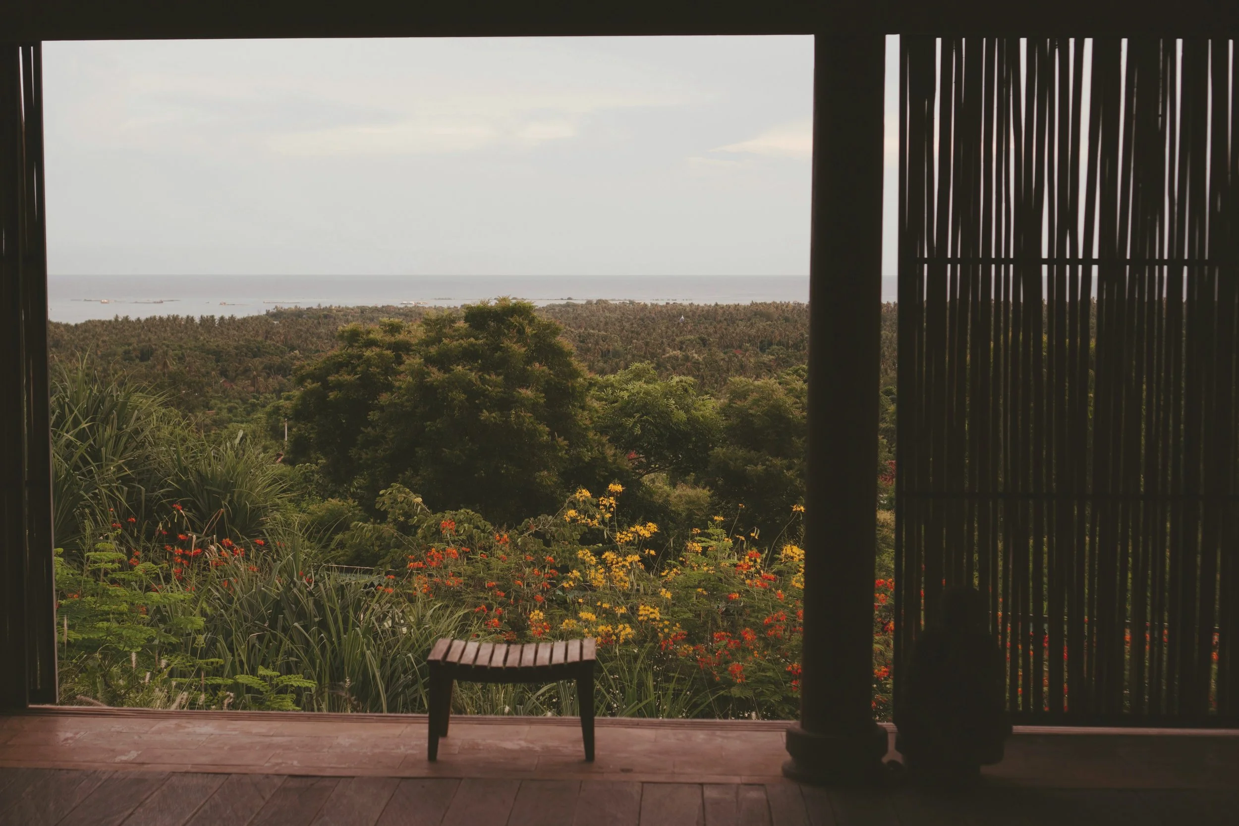 View of lush greenery and trees overlooking the ocean through an open wooden door of a yoga shala in a coastal location.