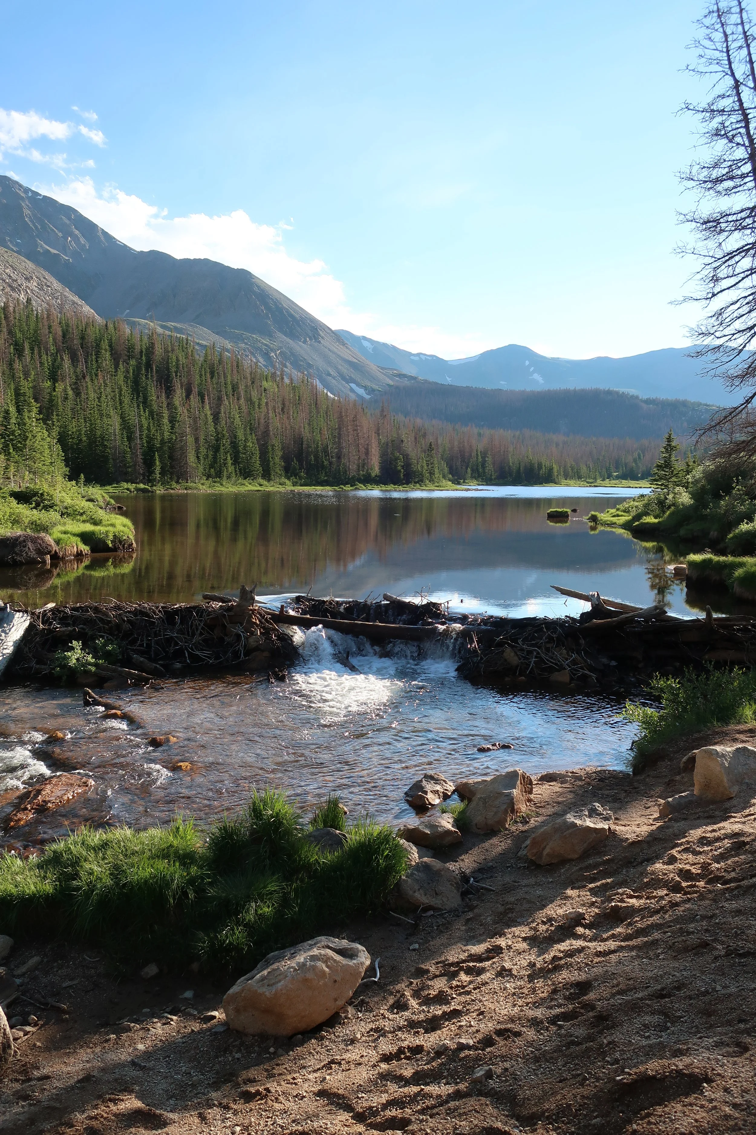 Photo of lake, forest, and mountains