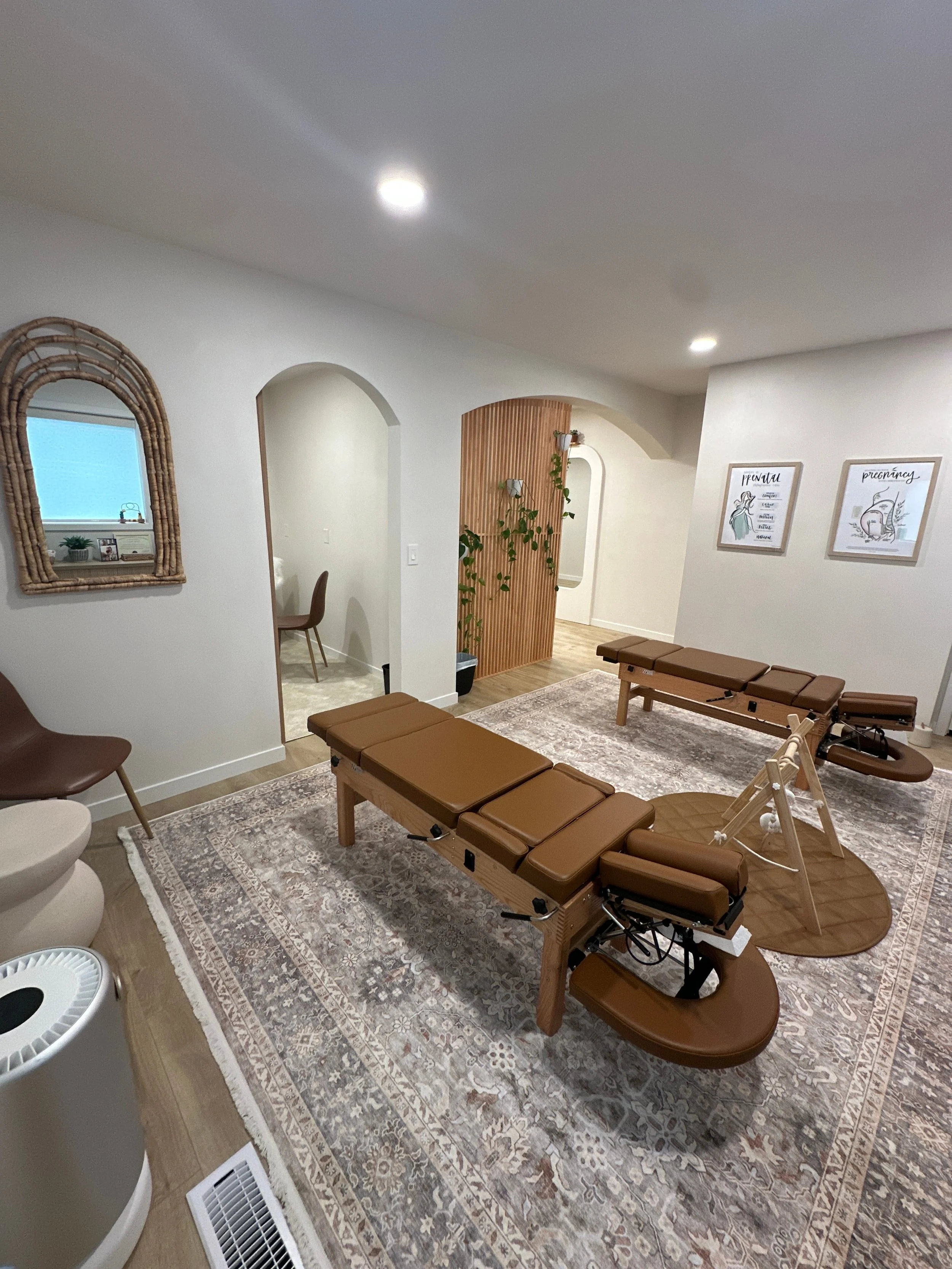webster-certified-chiropractor-office.jpg