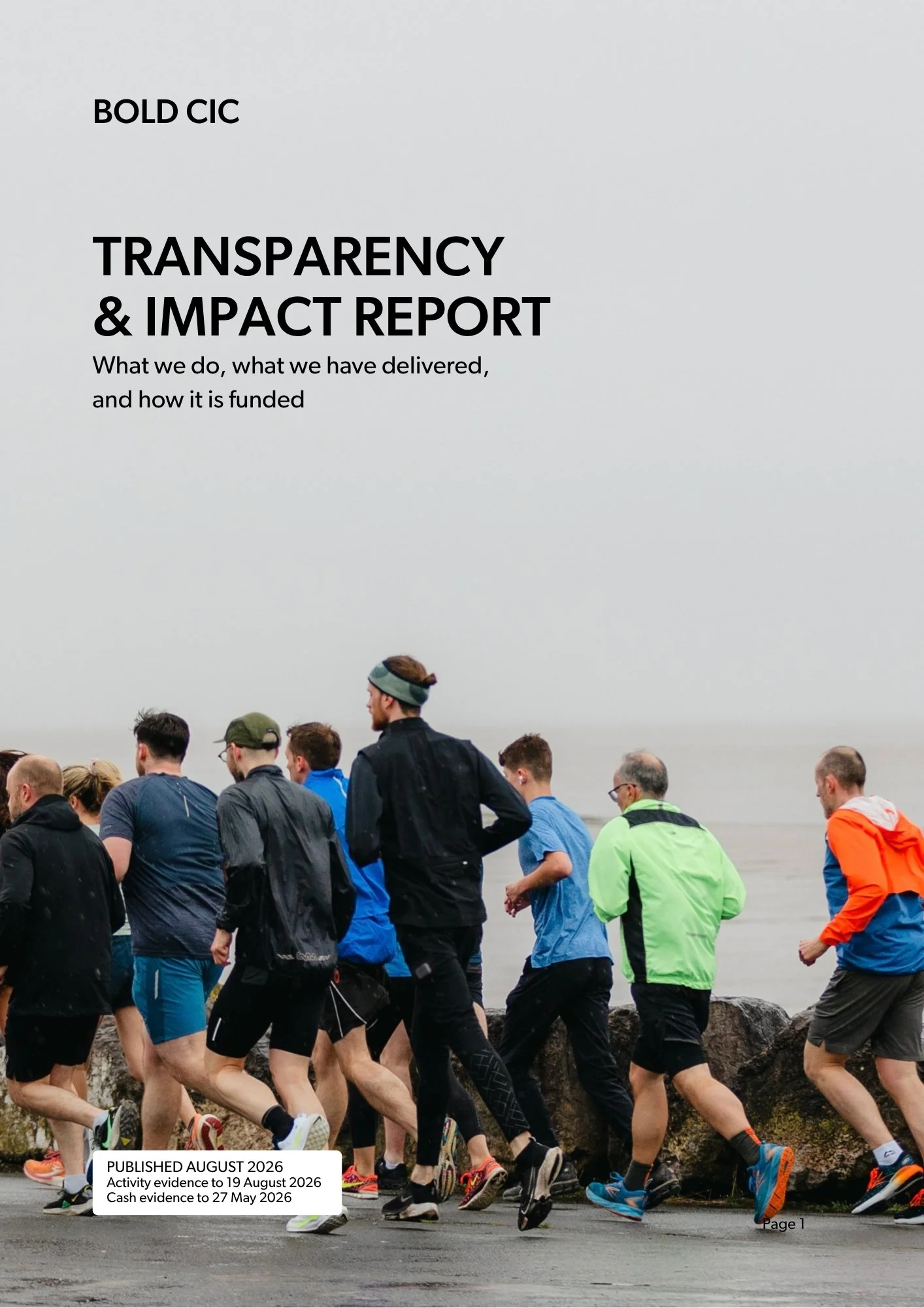 PDF Link to BOLD CIC Transparency Report