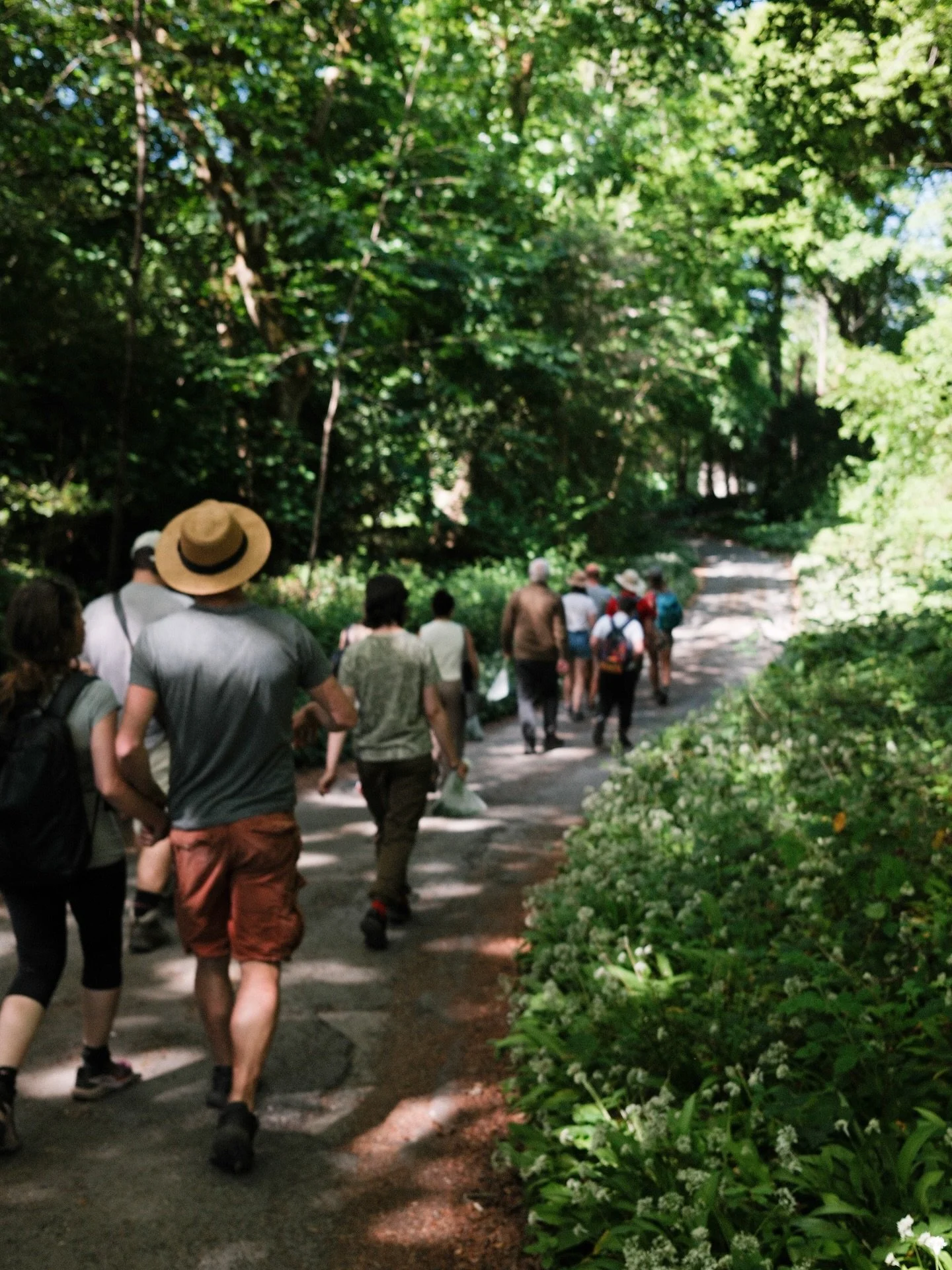 Only 4 tickets remain for the Nature Connection Walk at Warton Crag with @becomingyourtruenature this Saturday 

Only 6 tickets left for the wild tea foraging walk (also at Warton Crag) with Ellie this Sunday 

Book via eventbrite, link in bio. 

And