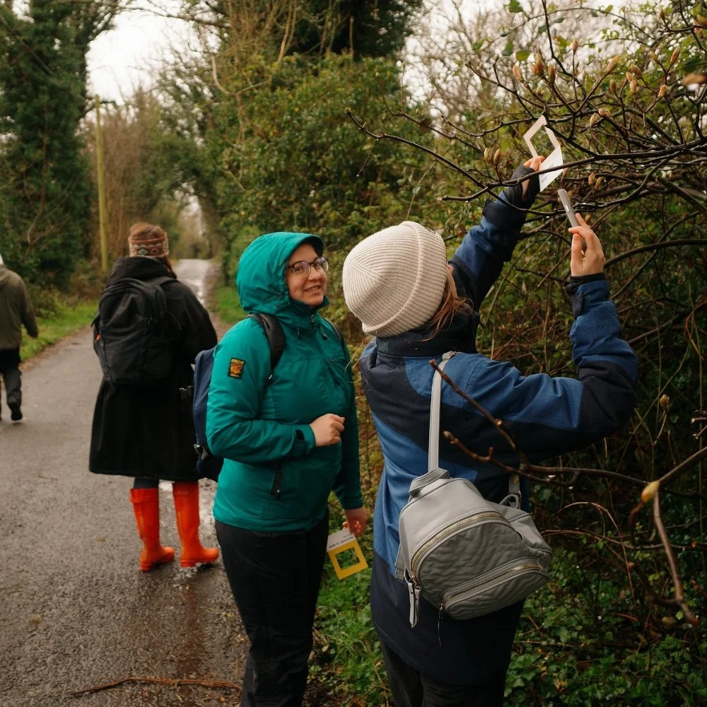 Species Identification Workshop