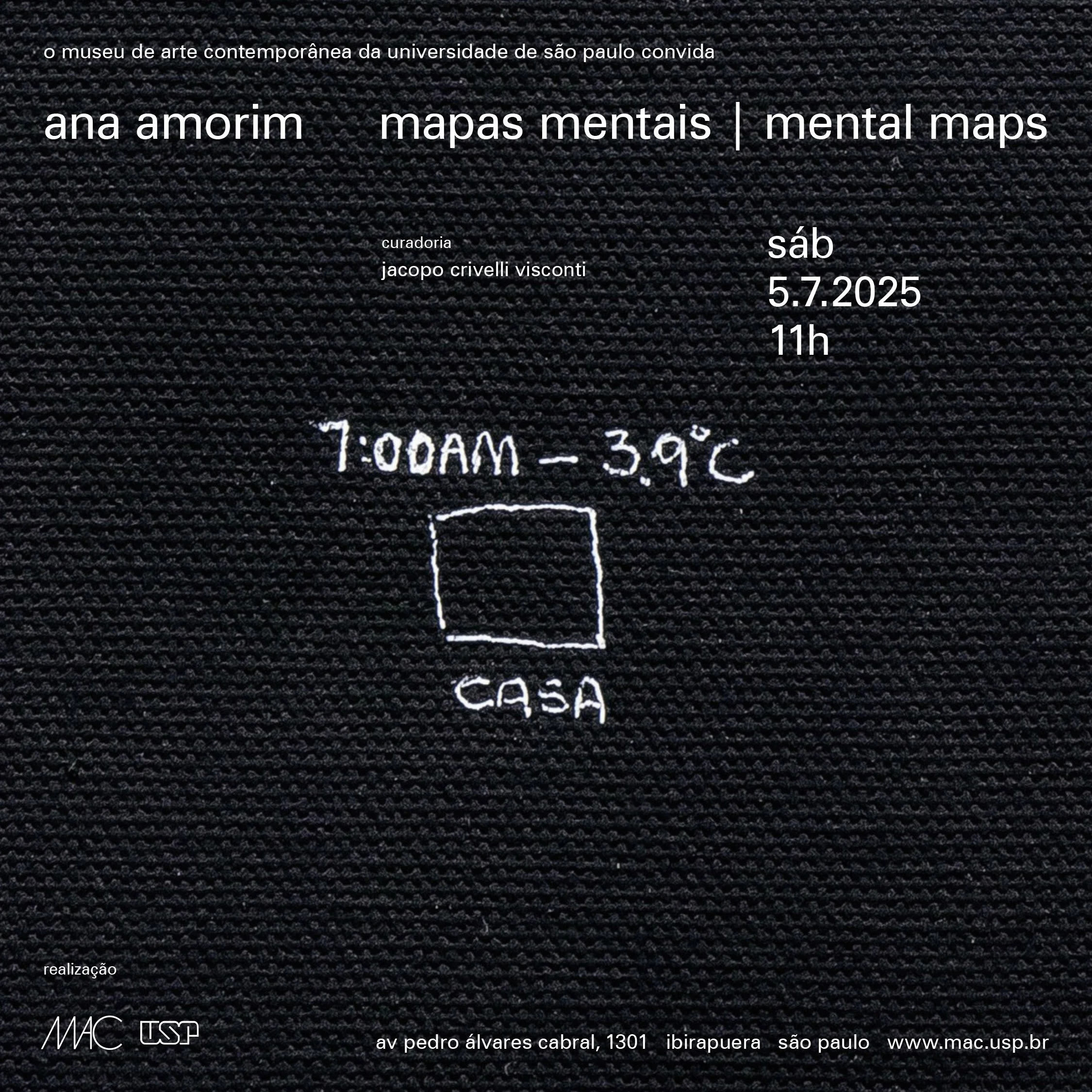 Ana Amorim | Mental Maps (MAC USP 2025)