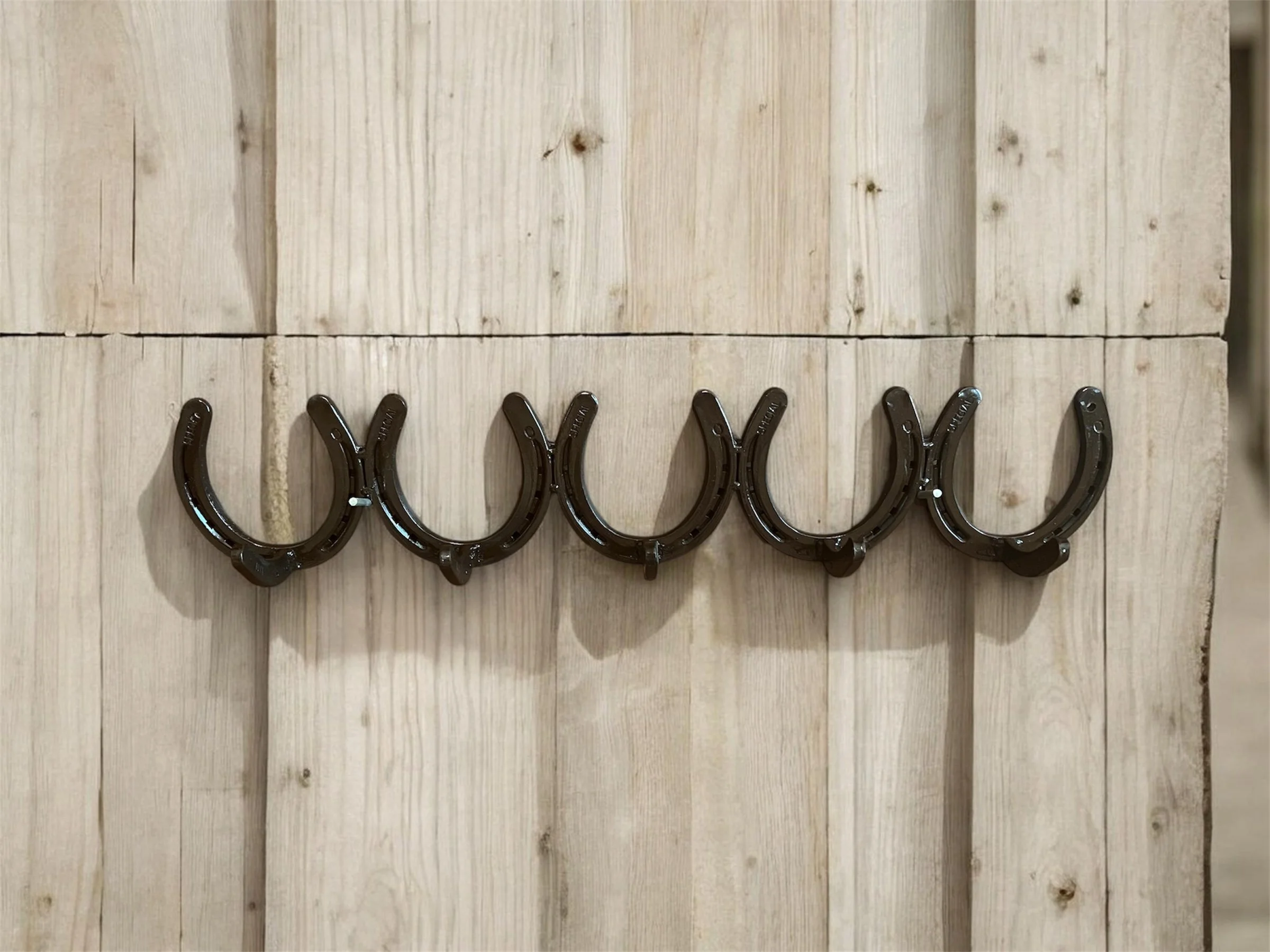 Horseshoe Coat Rack