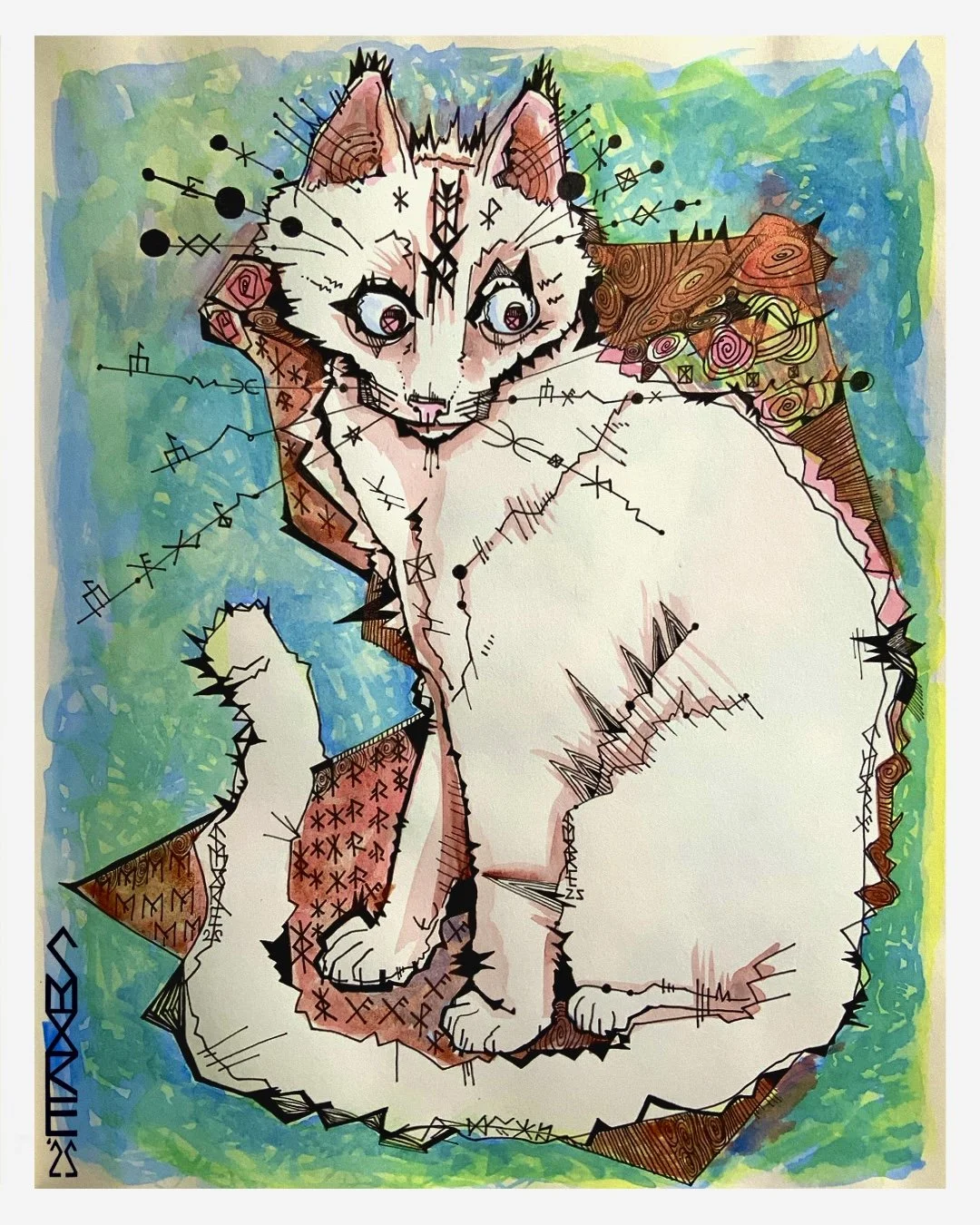 Cosmic Cat