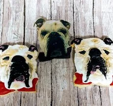 Personalized Pet Cookies