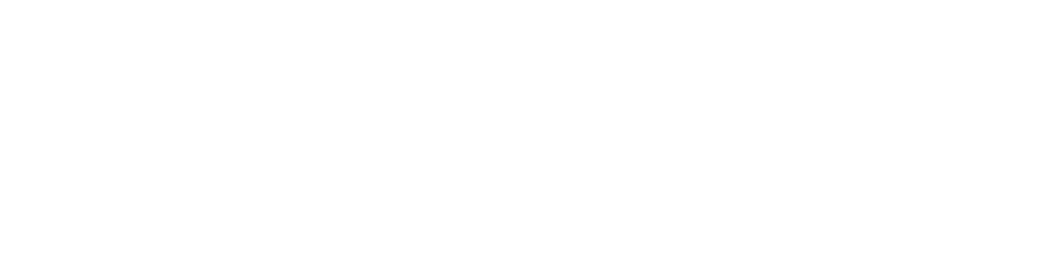 DELTA RACE 