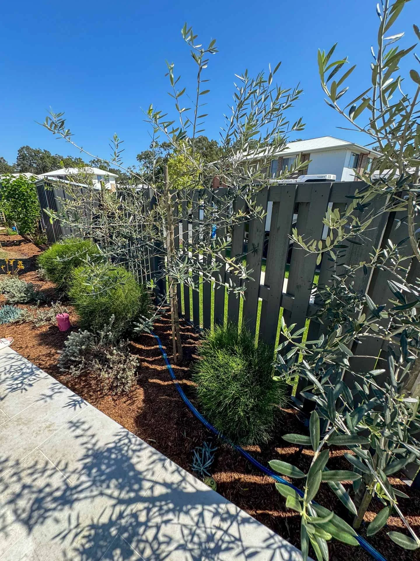 IMG_2729.jpg