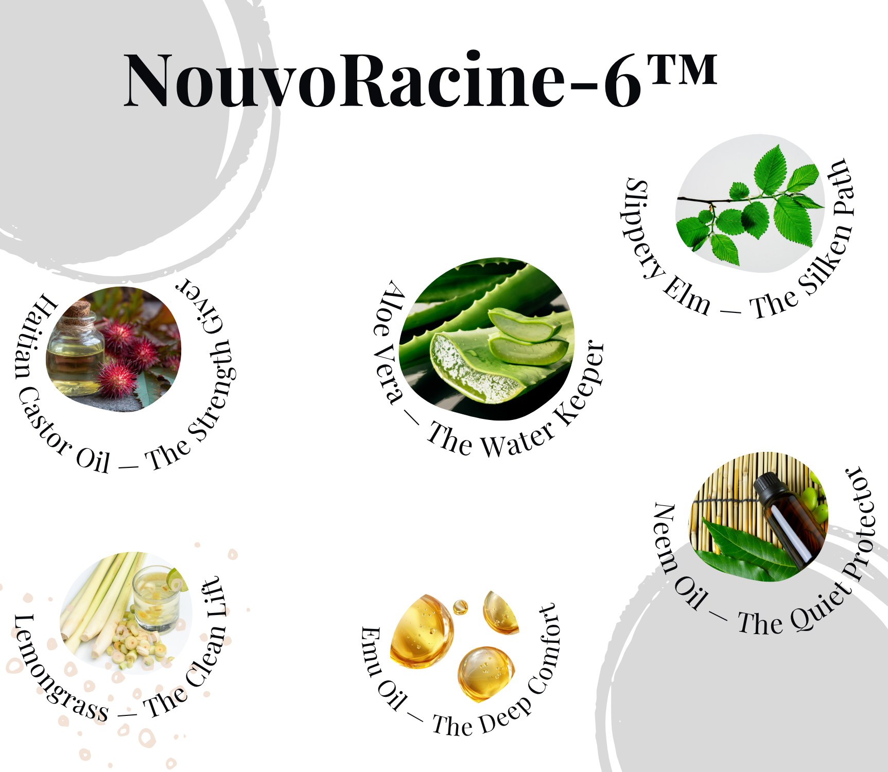 Packaging for a product called NouvoRacine-6, featuring natural ingredients such as Aloe Vera, Silk Weighing Path, Green Grass, Deep Oil, and herbs, along with images of aloe vera slices, green leaves, amber-colored oil drops, and herbal extracts.