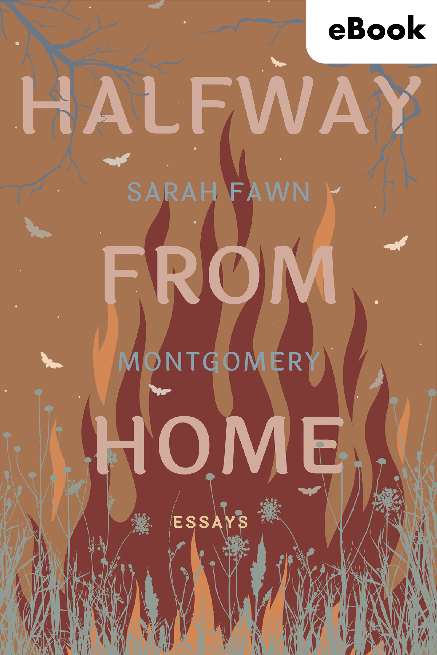 Halfway from Home eBook