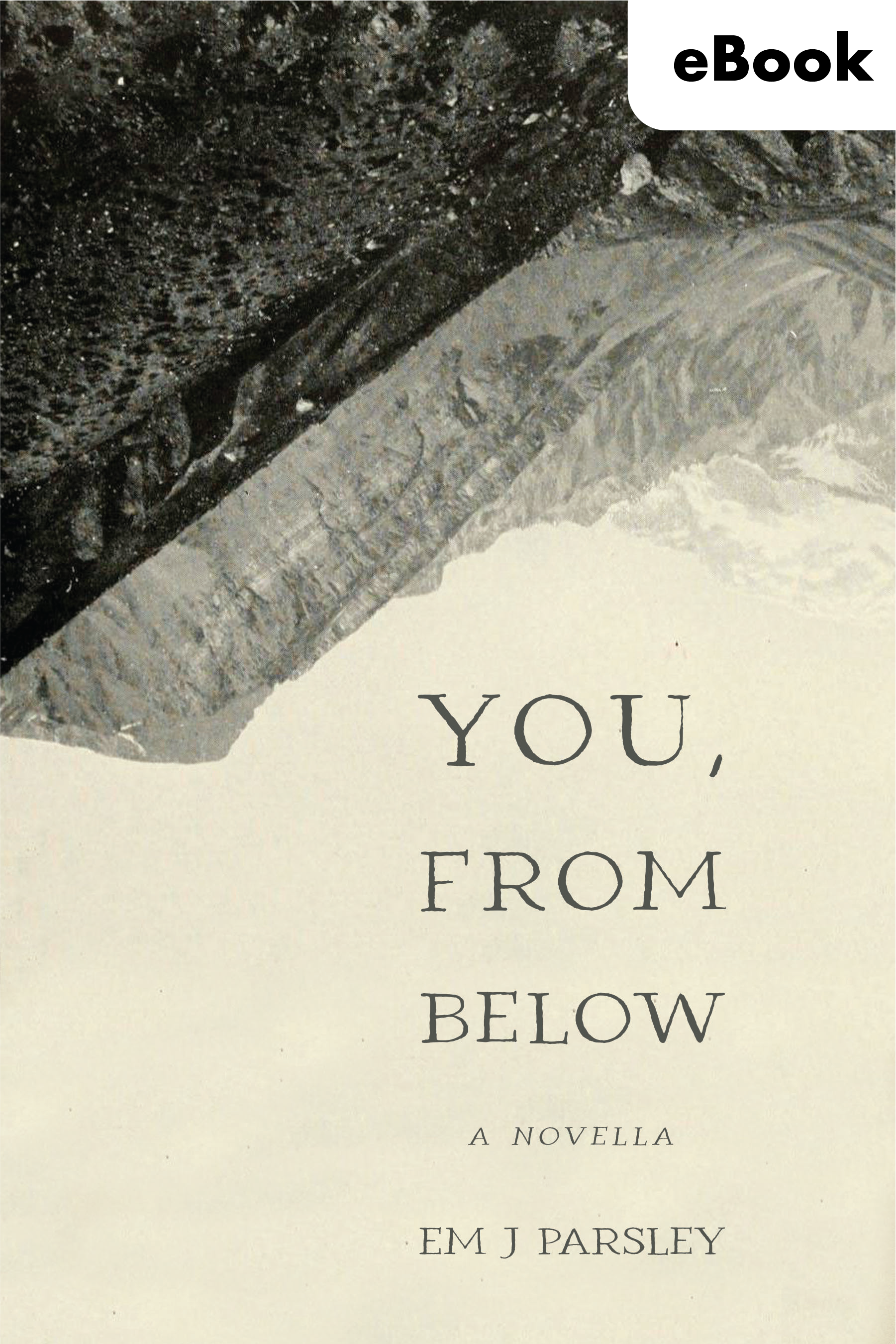 You, From Below eBook