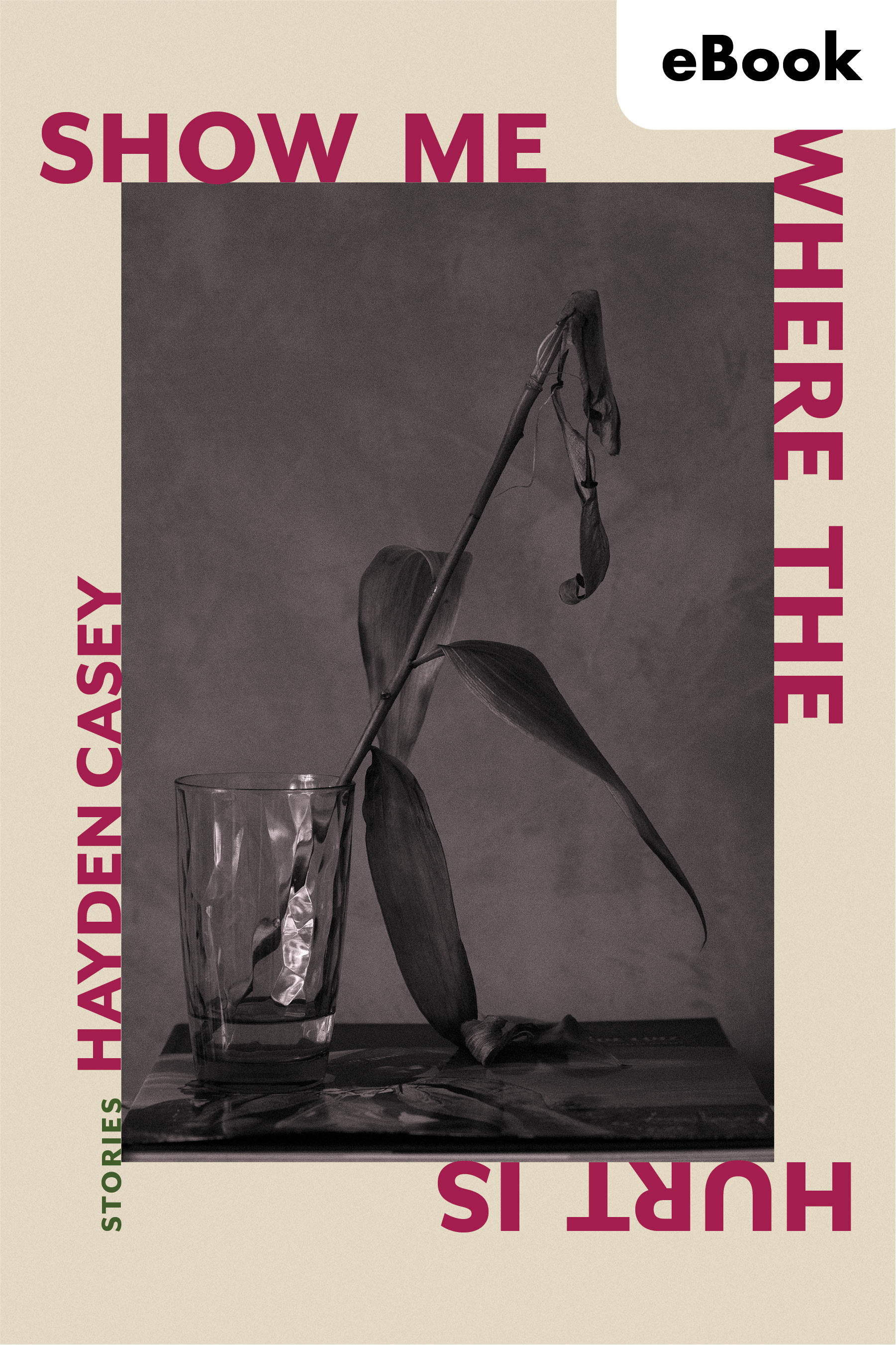 Show Me Where the Hurt Is eBook