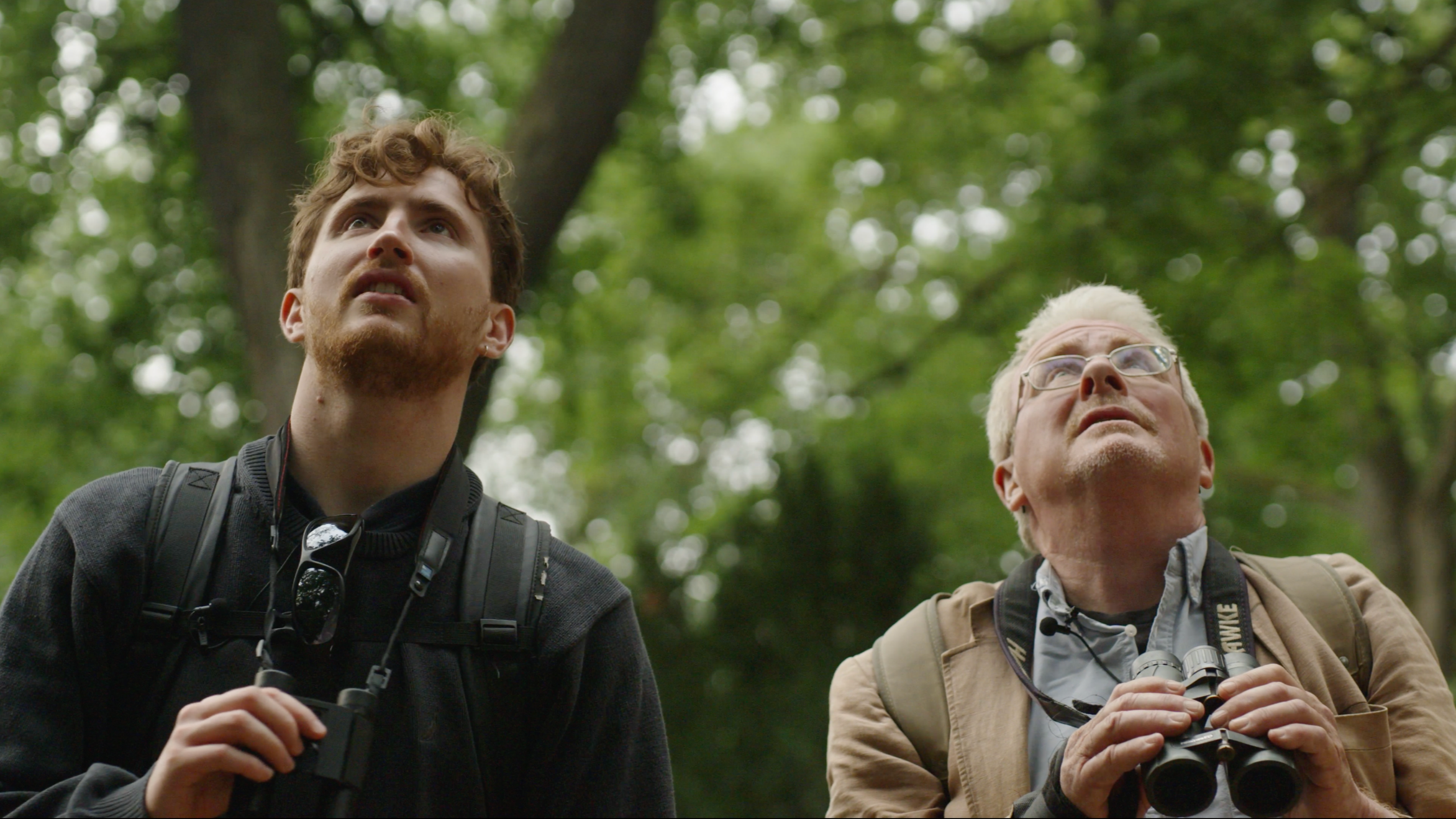 Searching for Goshawks