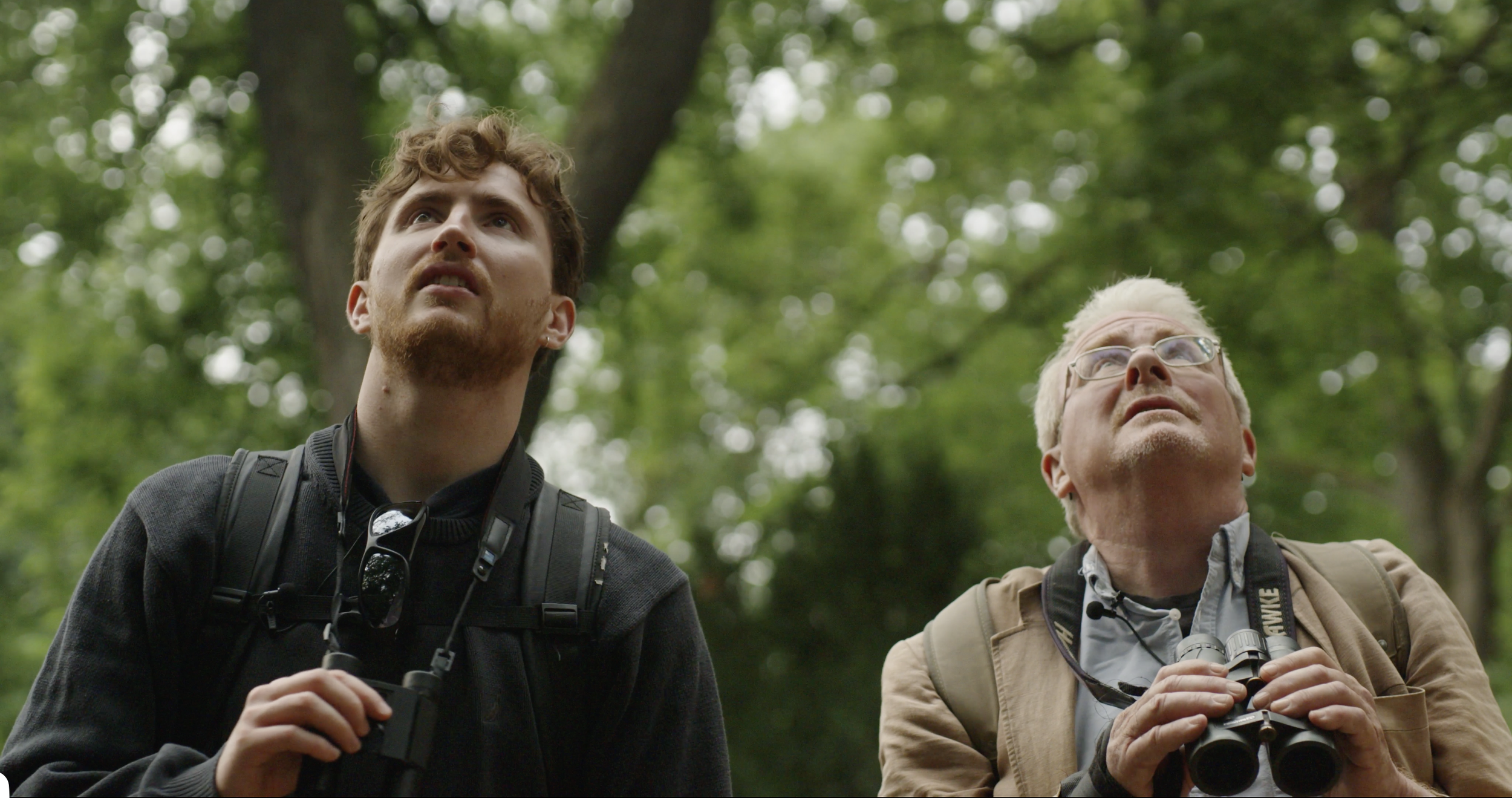 Searching for Goshawks
