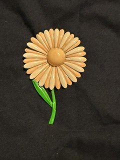 IMG_8908.JPG