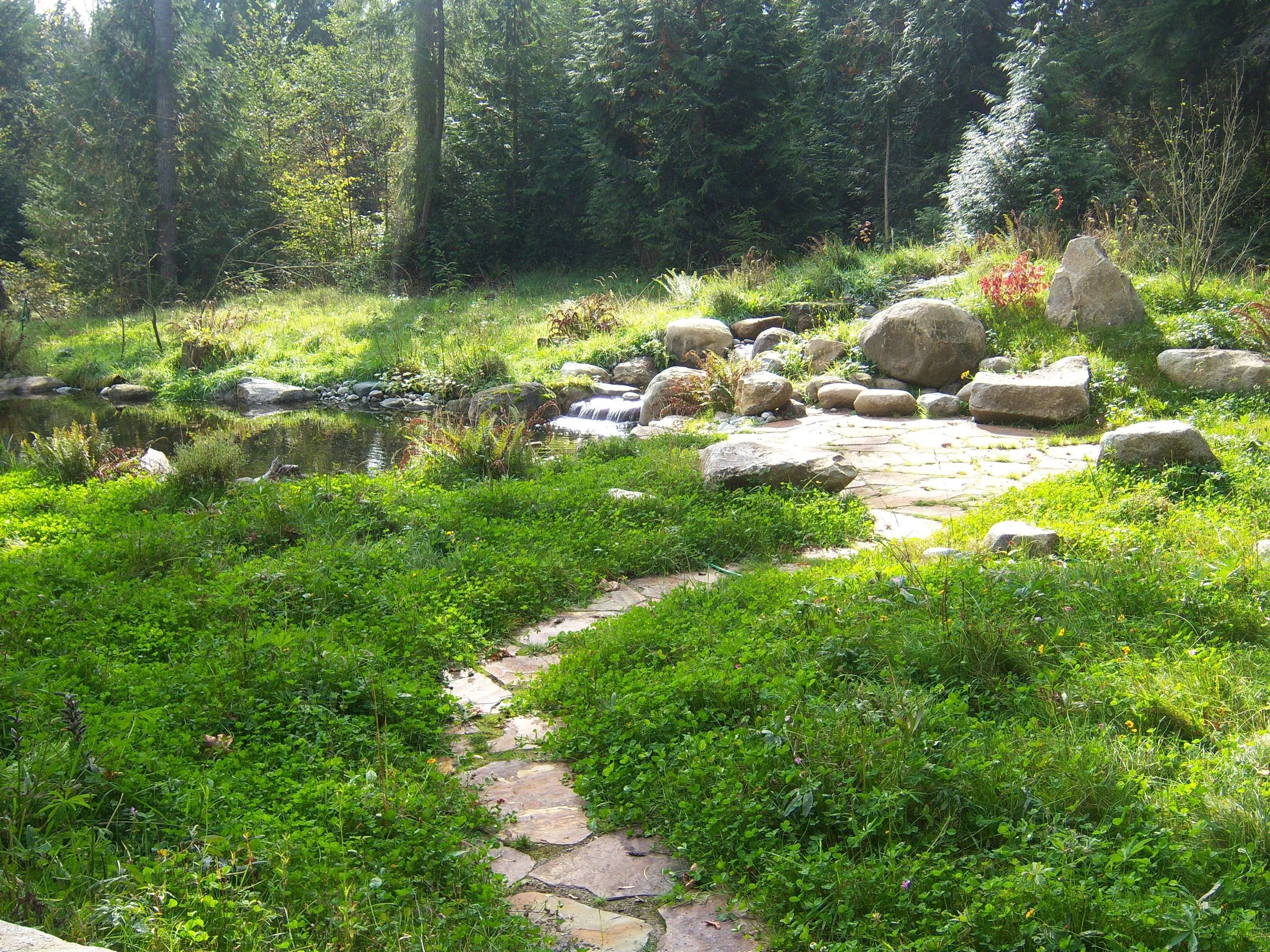 A small stone path winds through lush green grass and plants, leading towards a wooded area with tall trees and dense foliage, illuminated by sunshine.