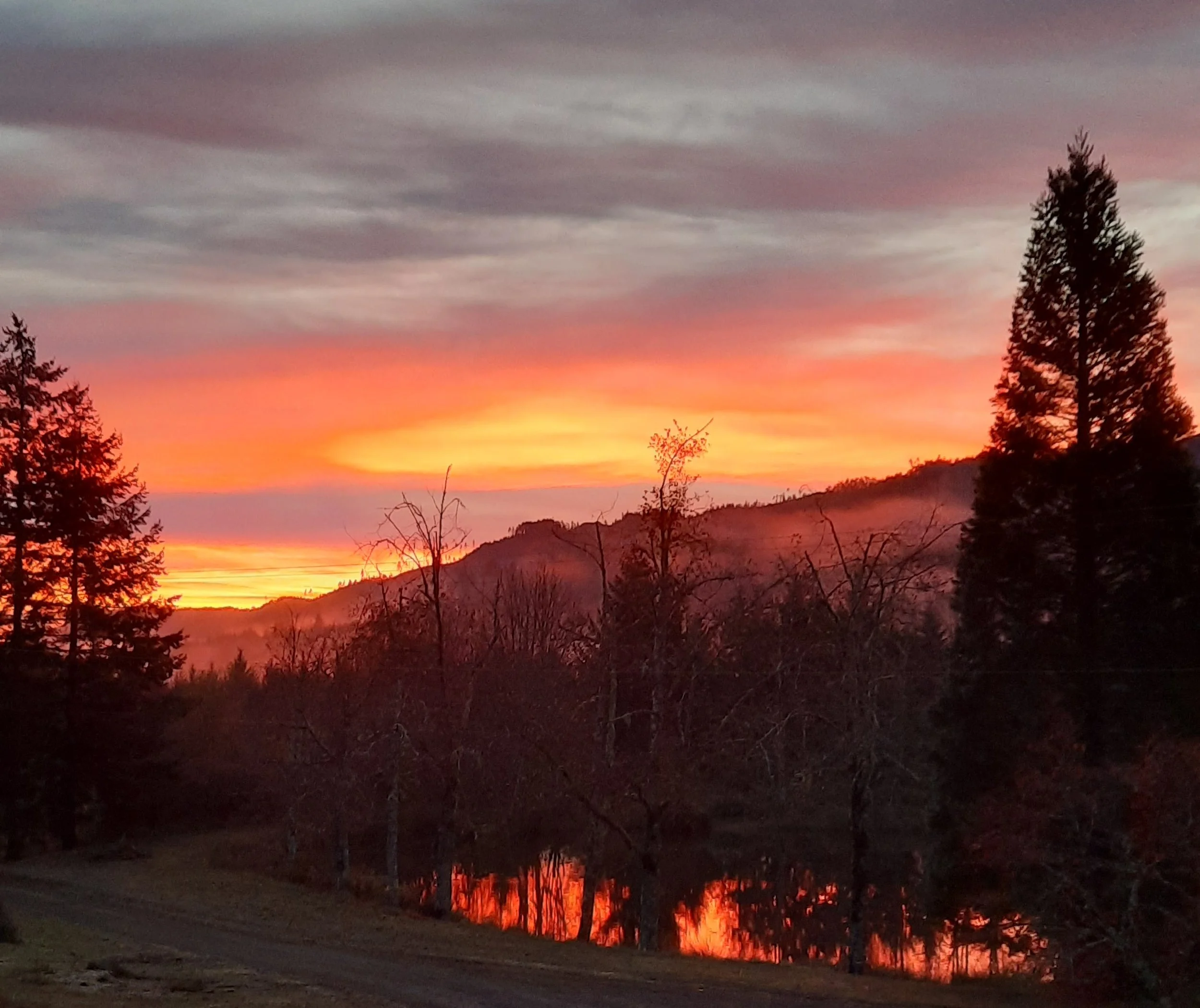 20221125_Beautiful Sunset.jpg