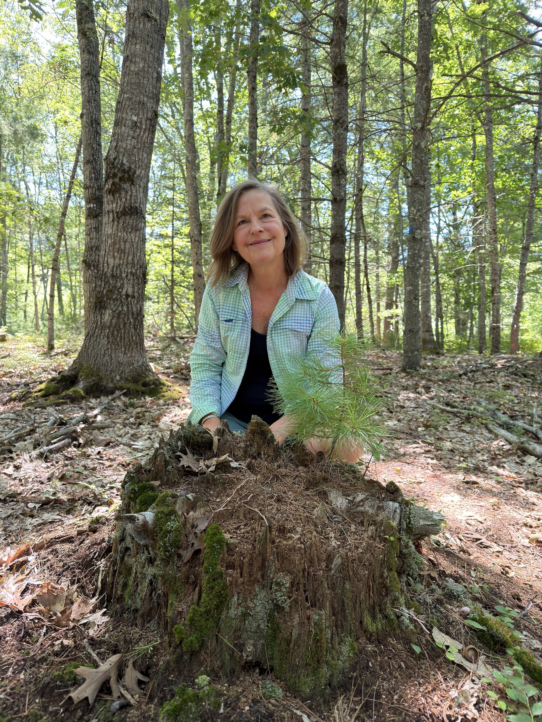 woman with brown hair smiling gently kneeling in front of a tree stump in the woods with a tiny tree sprouting from it