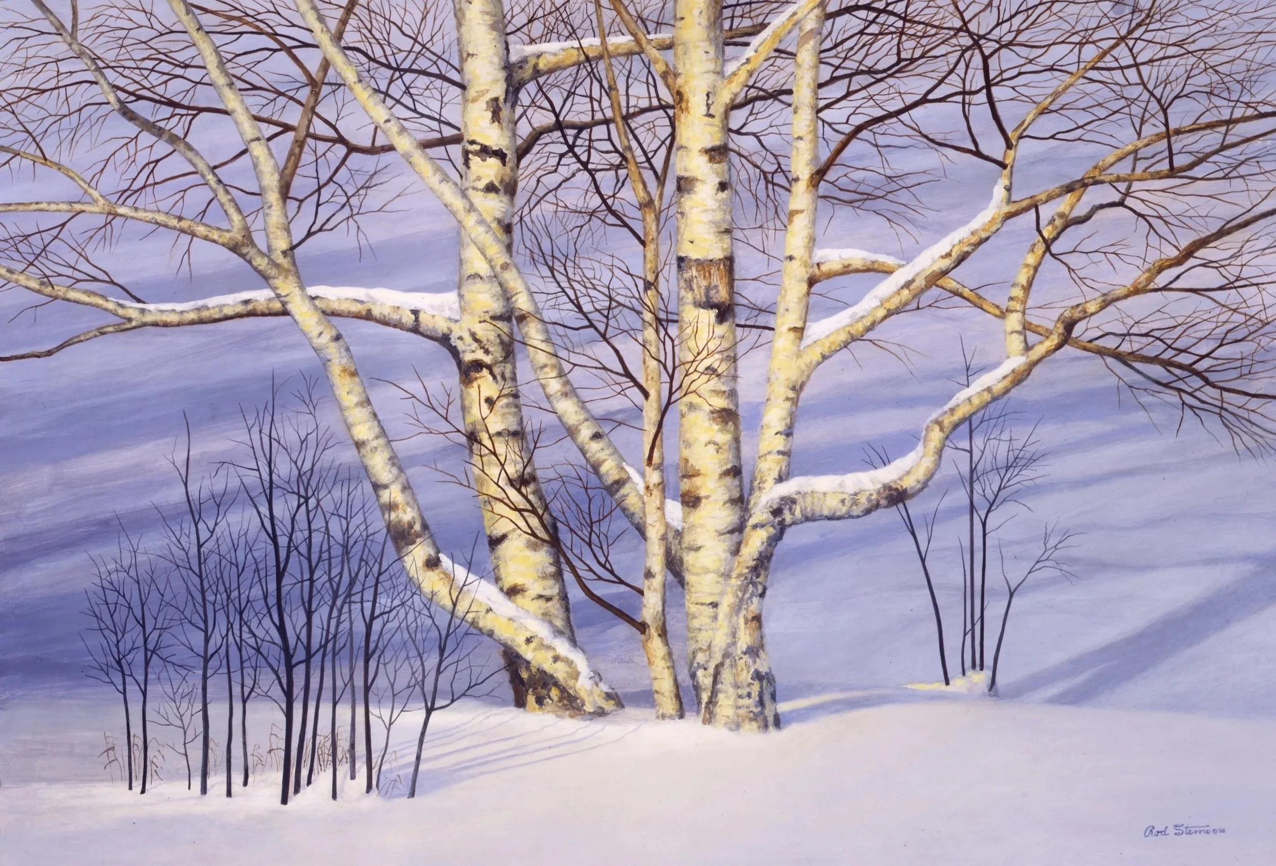 A painting: Finely detailed, ultra realistic birch trees in thick snow with dark blue shadows in the background. The warm color of the trees contrasts with the blue tinged snow and the much smaller, twig-like black trees poking up through the snow. 