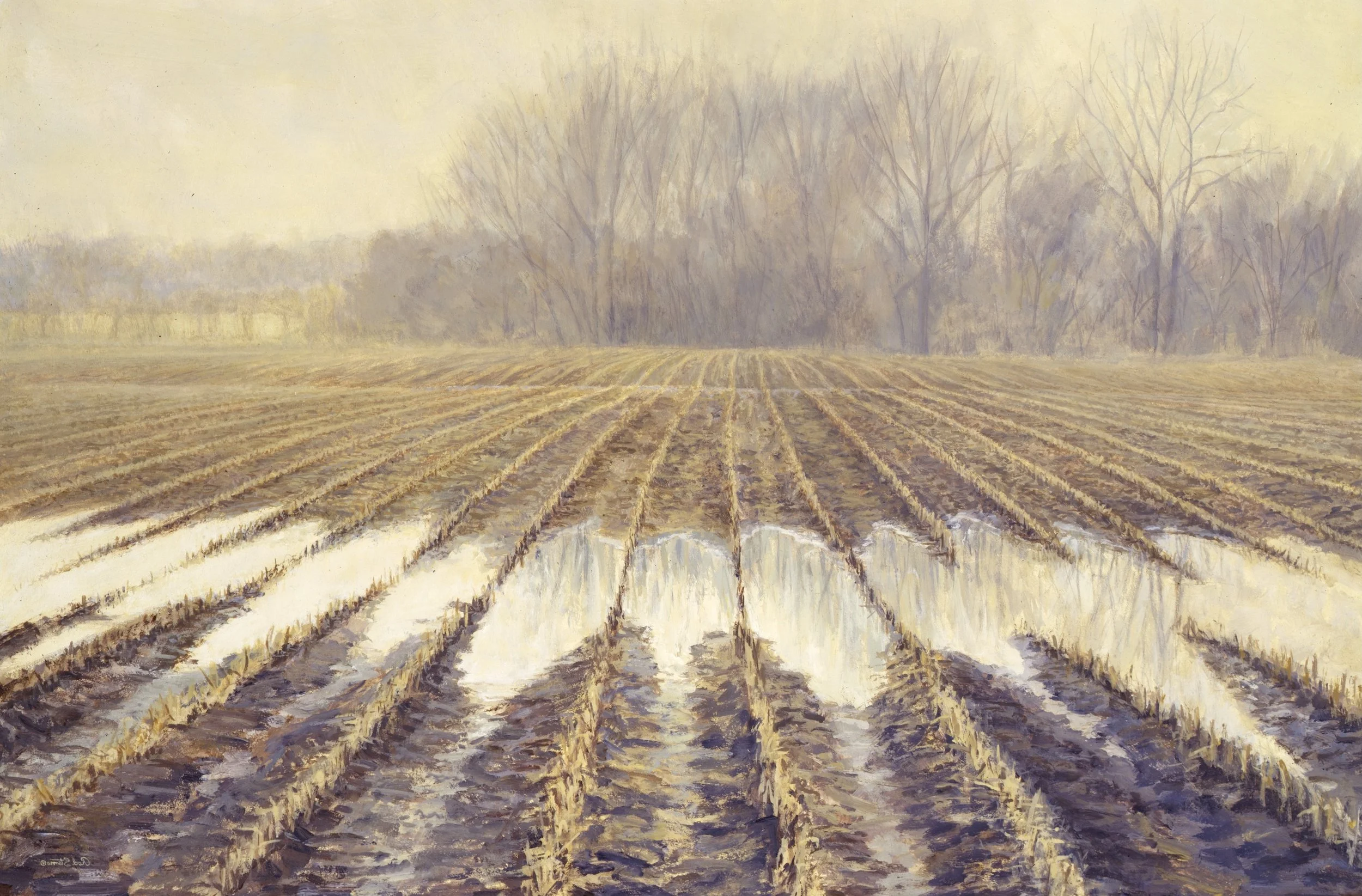 A monochromatic painting of muddy corn fields long since gleaned after the summer harvest. The furrows between the corn rows are filled in low lying areas with rain water reflecting the bare, grey trees in the distance. 