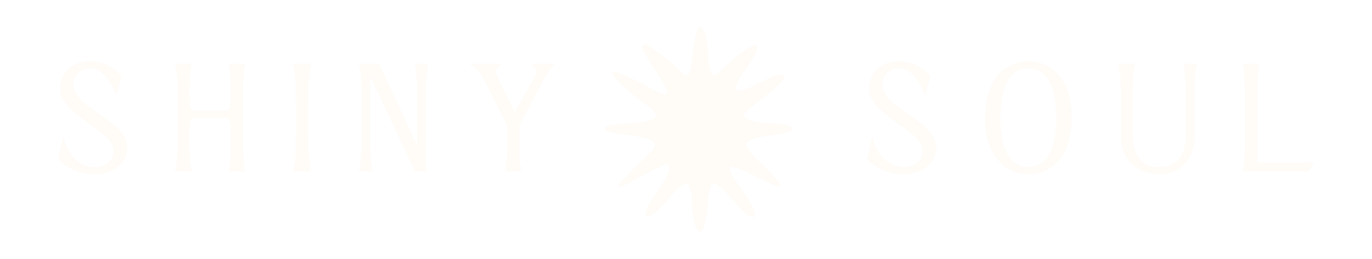 Shiny Soul logo with the words 'Shiny Soul' and a stylized star or snowflake in the center.