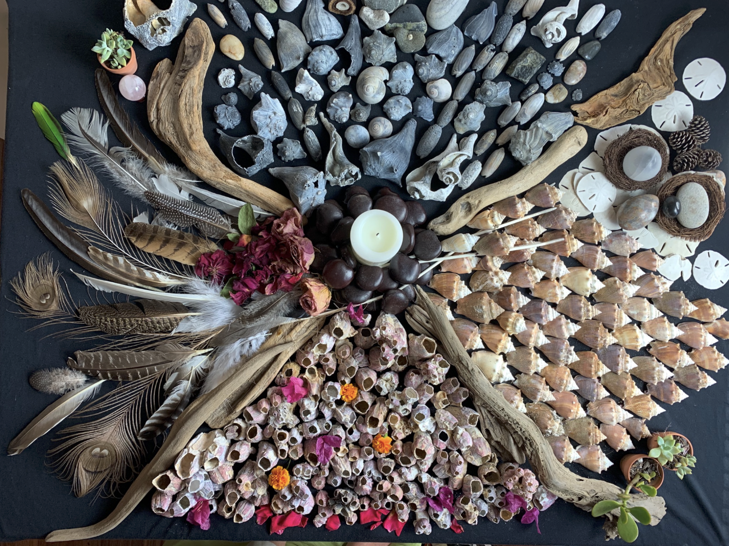 Decorative display of seashells, driftwood, feathers, candles, and plants arranged in a radial pattern on a dark surface.