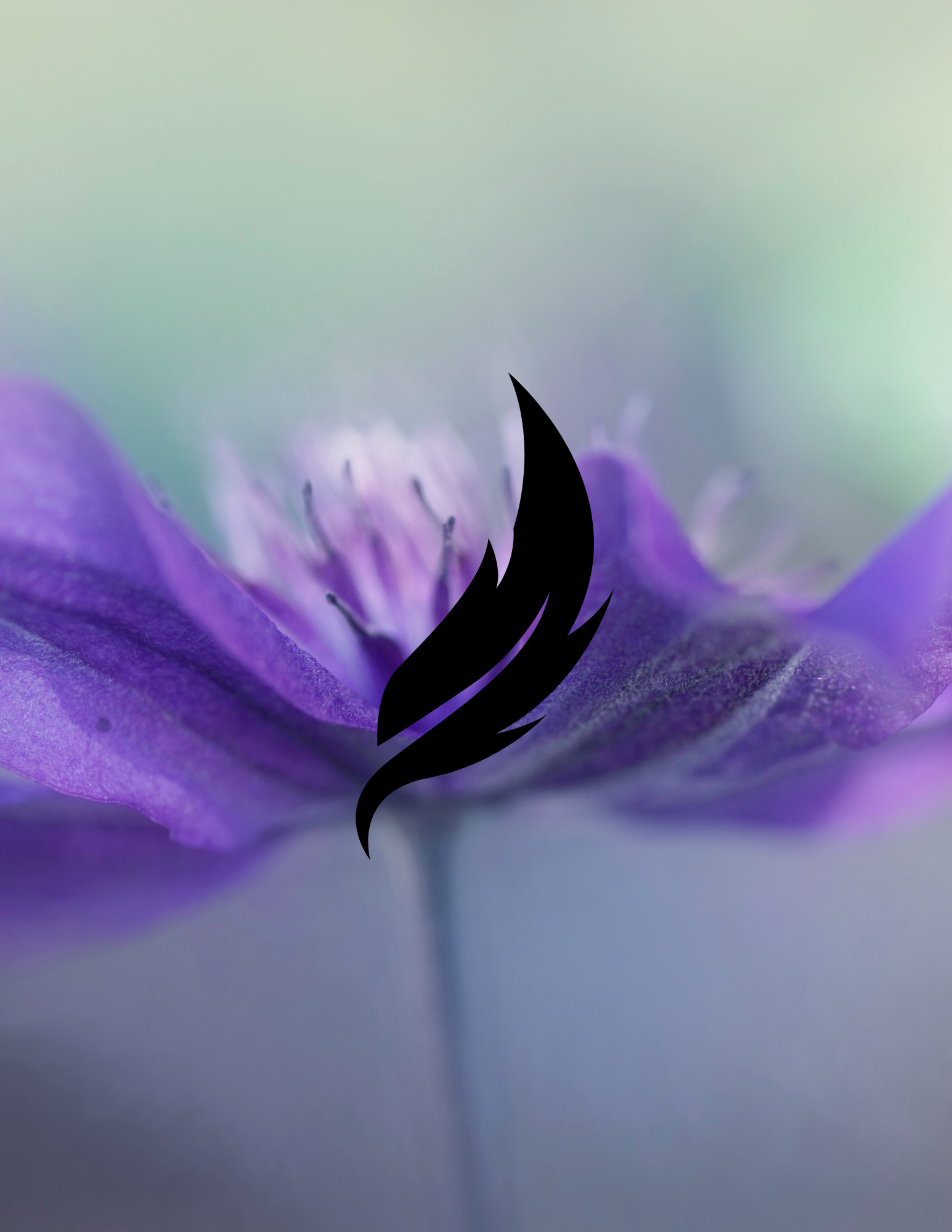 Close-up of a purple flower with a black flame-shaped logo superimposed in the center, against a blurred pastel background.