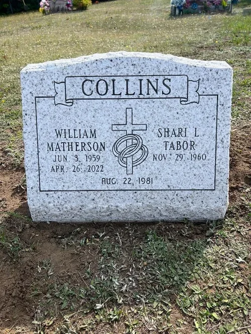 collins.webp
