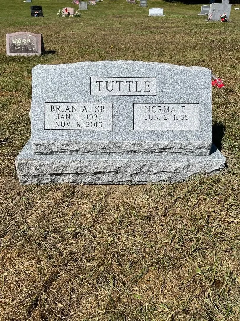 tuttle.jpg