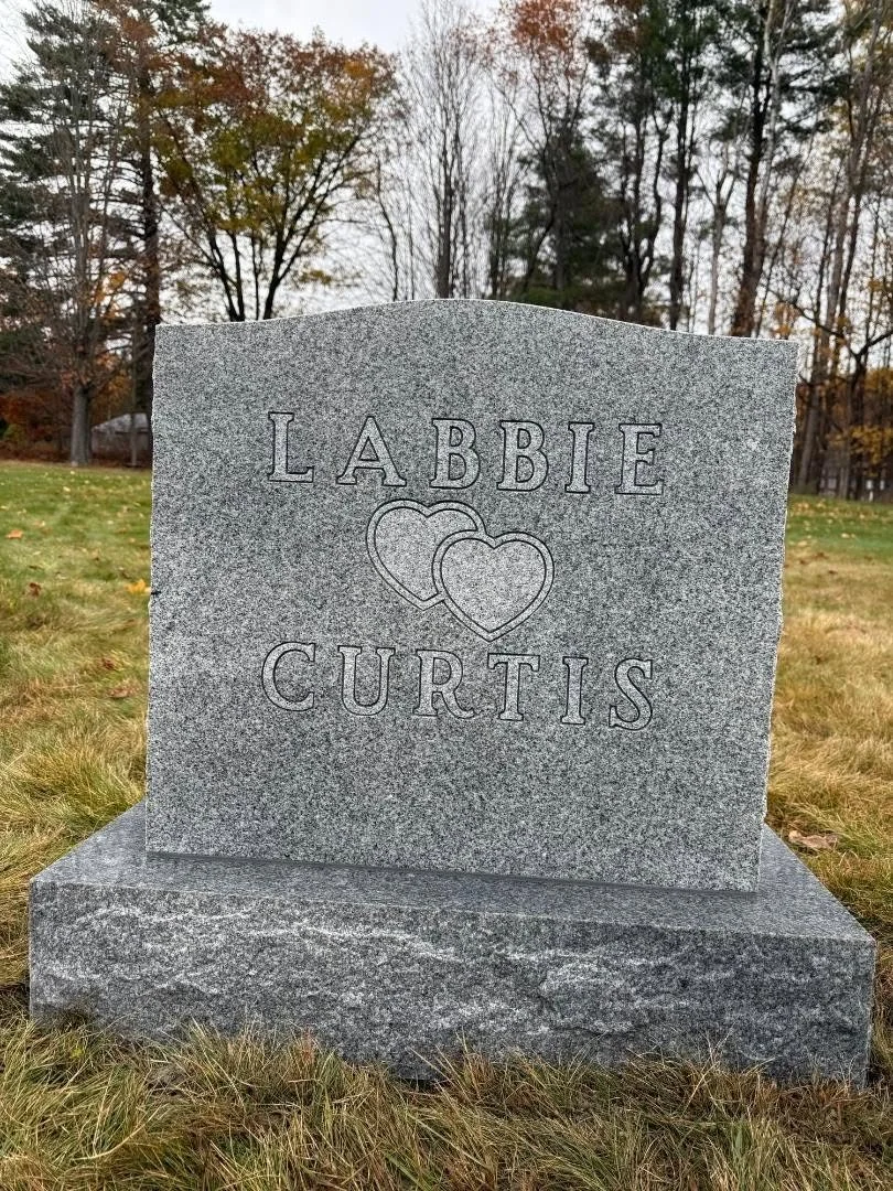 labbie.jpg