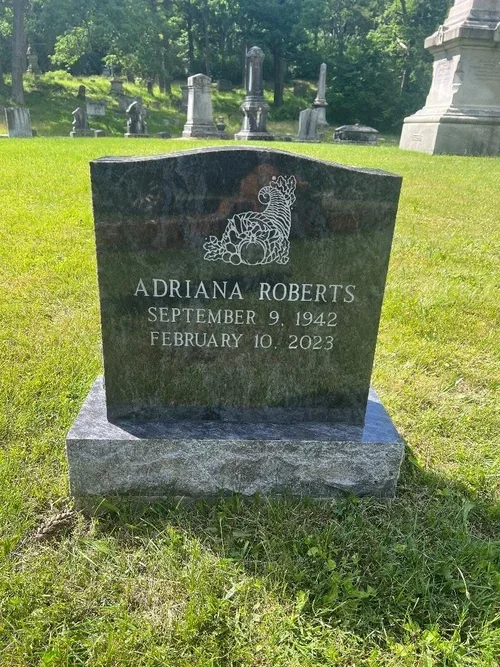 roberts.webp