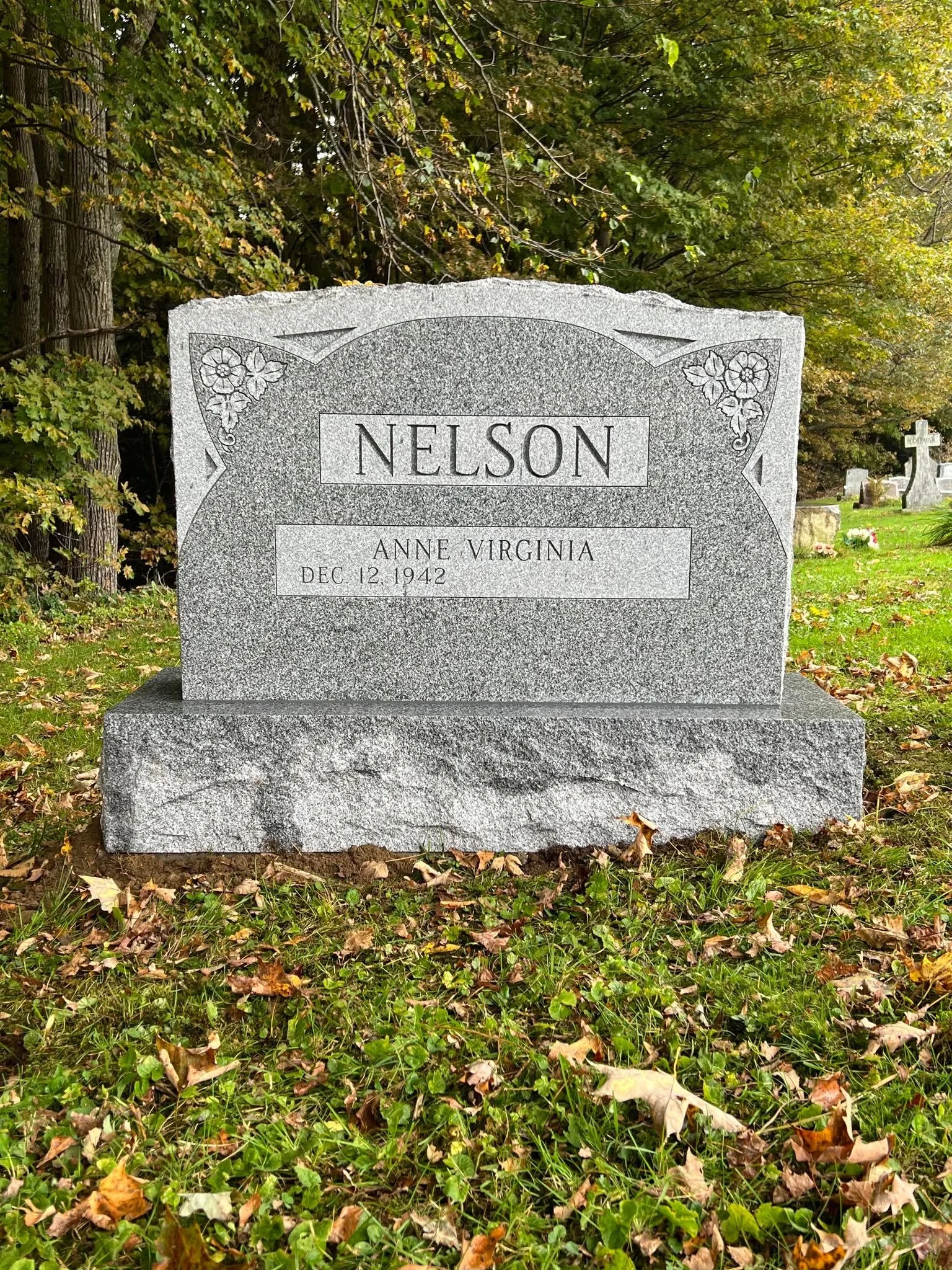 nelson.jpg