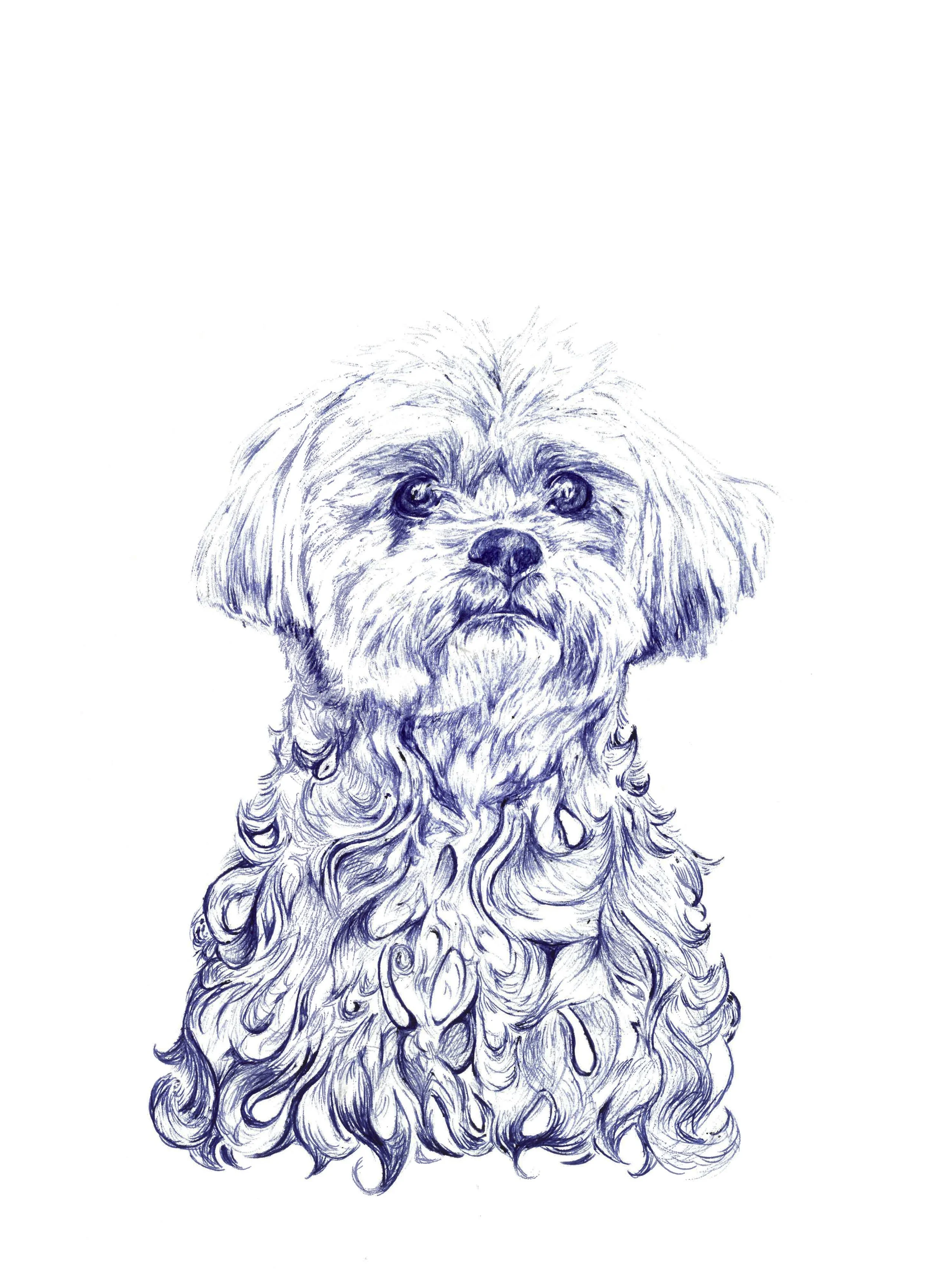 Ballpoint Studies