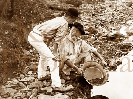 Australian Queensland Goldminers